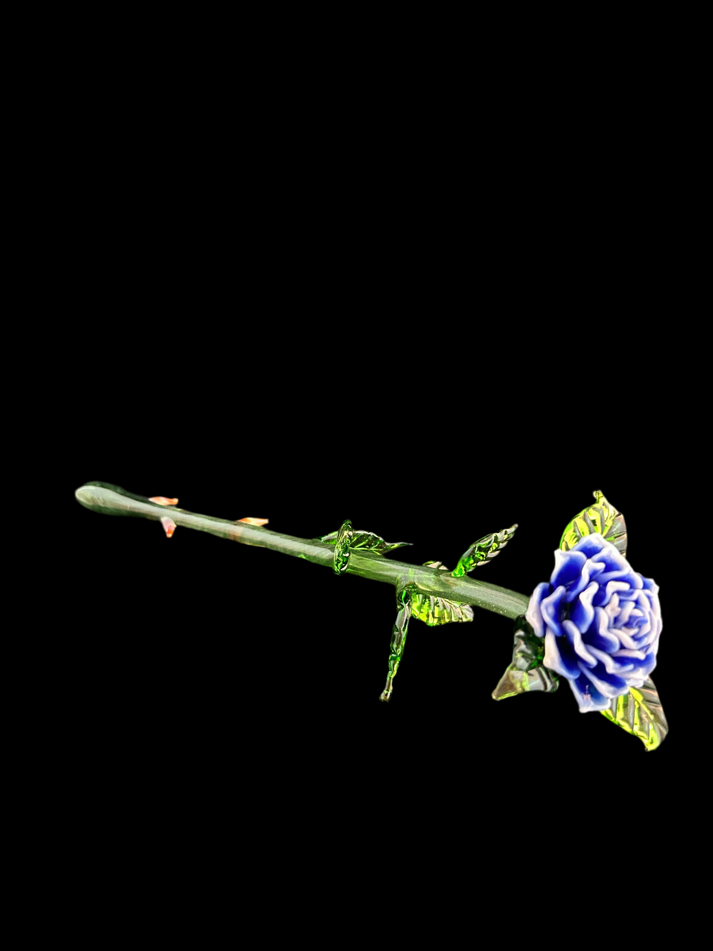 Long Stem Blue and White Forever Rose