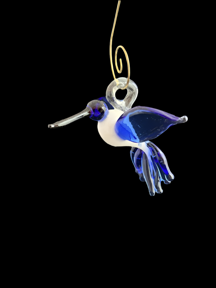 White & Blue Hummingbird