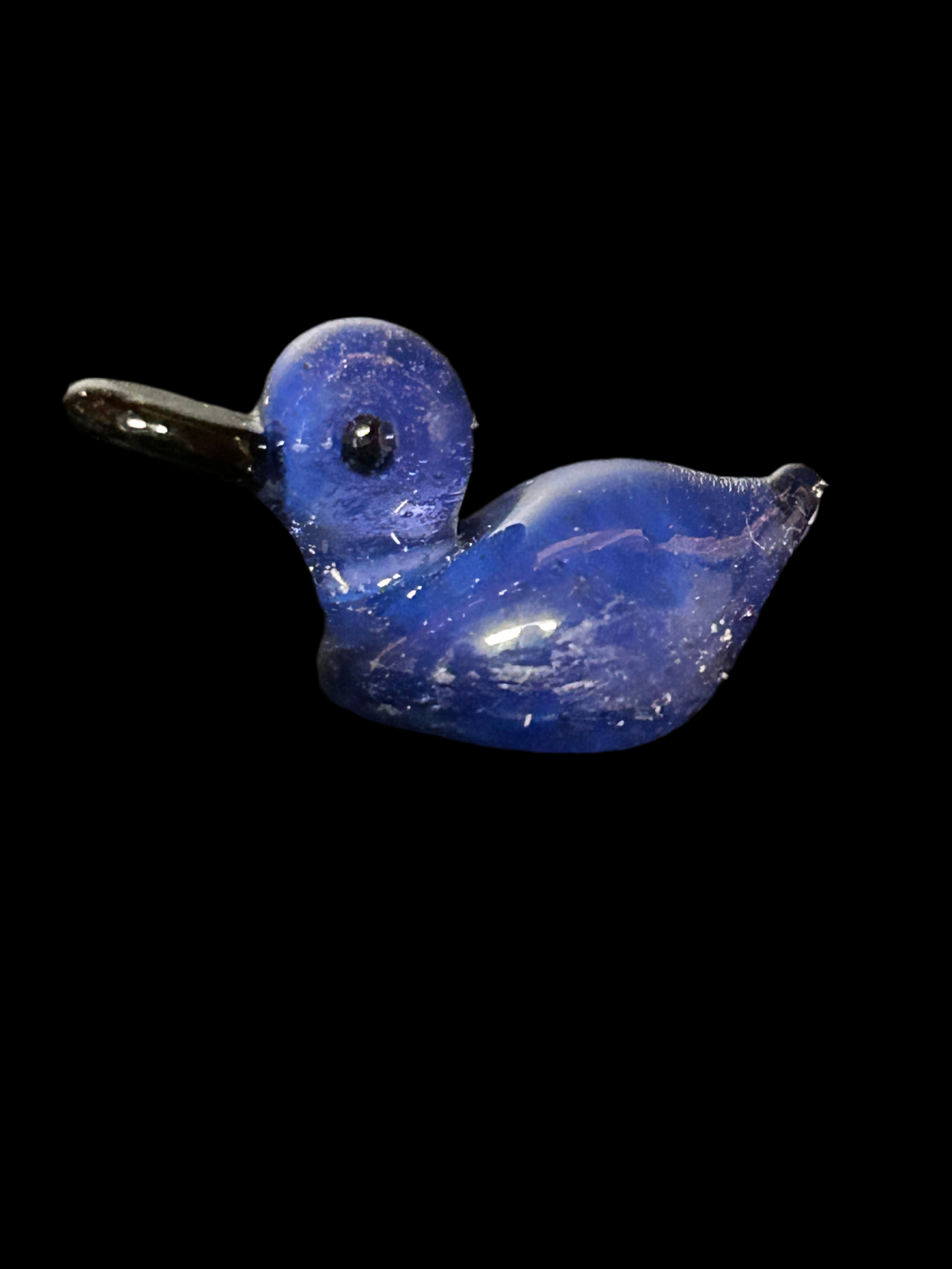 Blue Duck Magnet