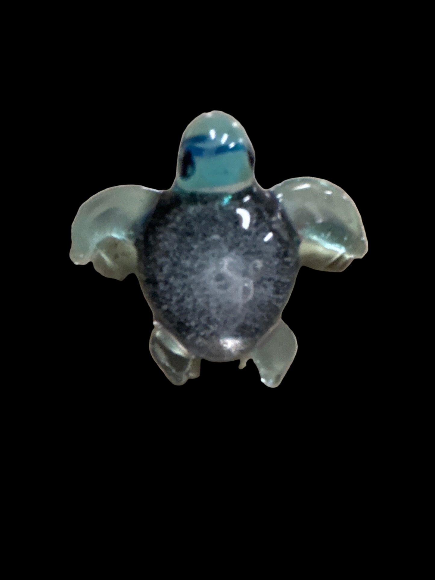 Blue & Green Turtle Magnet