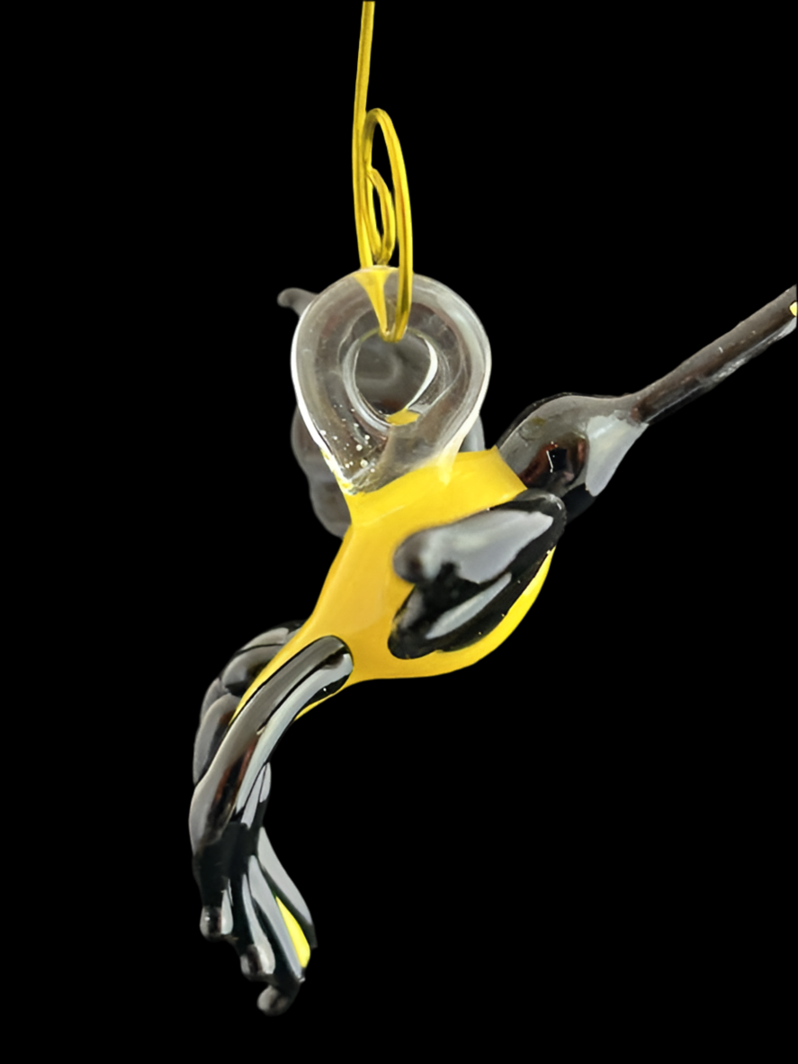 Yellow & Black Hummingbirds
