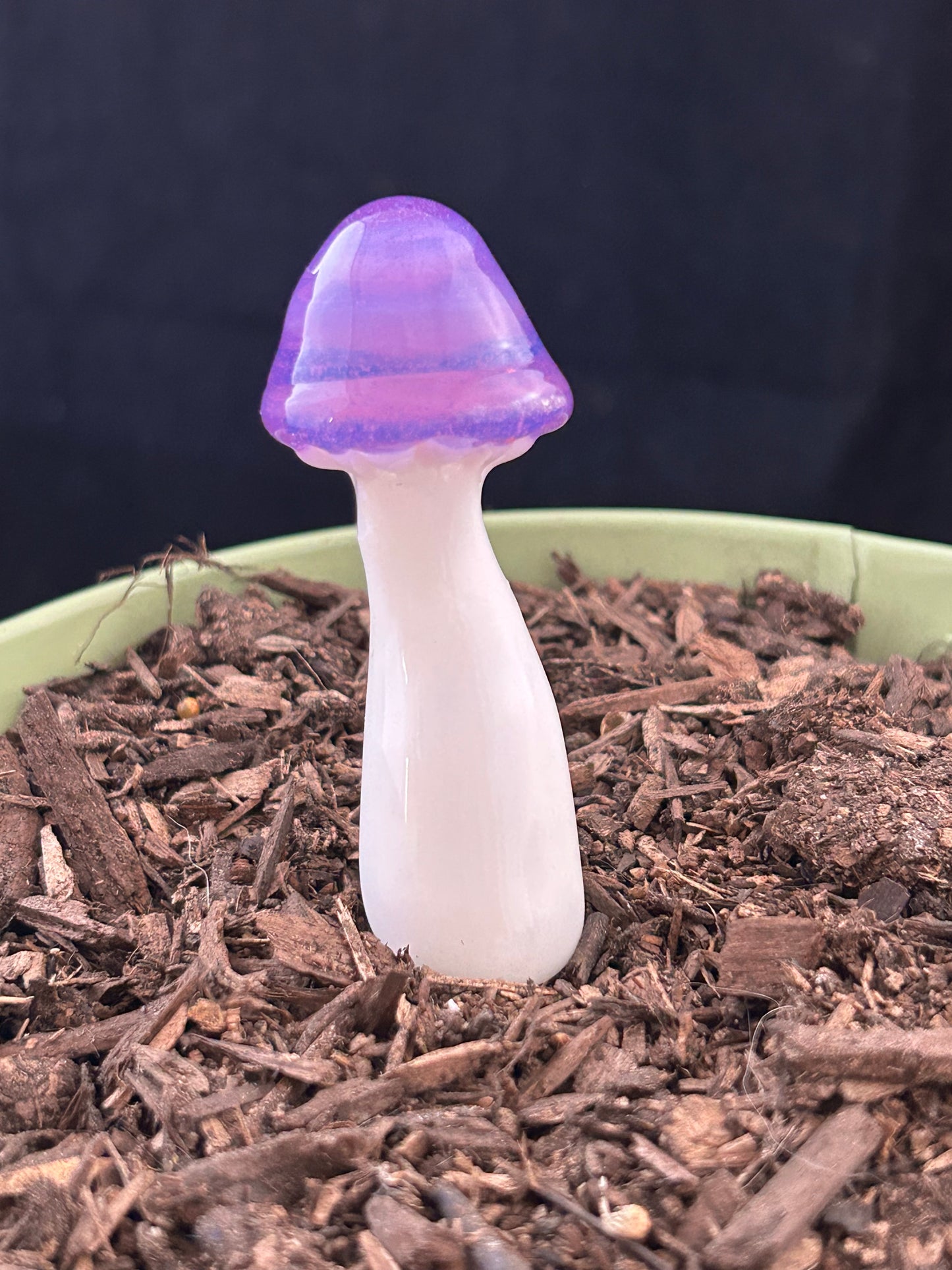 Pink Slyme Mushroom Plant Stake
