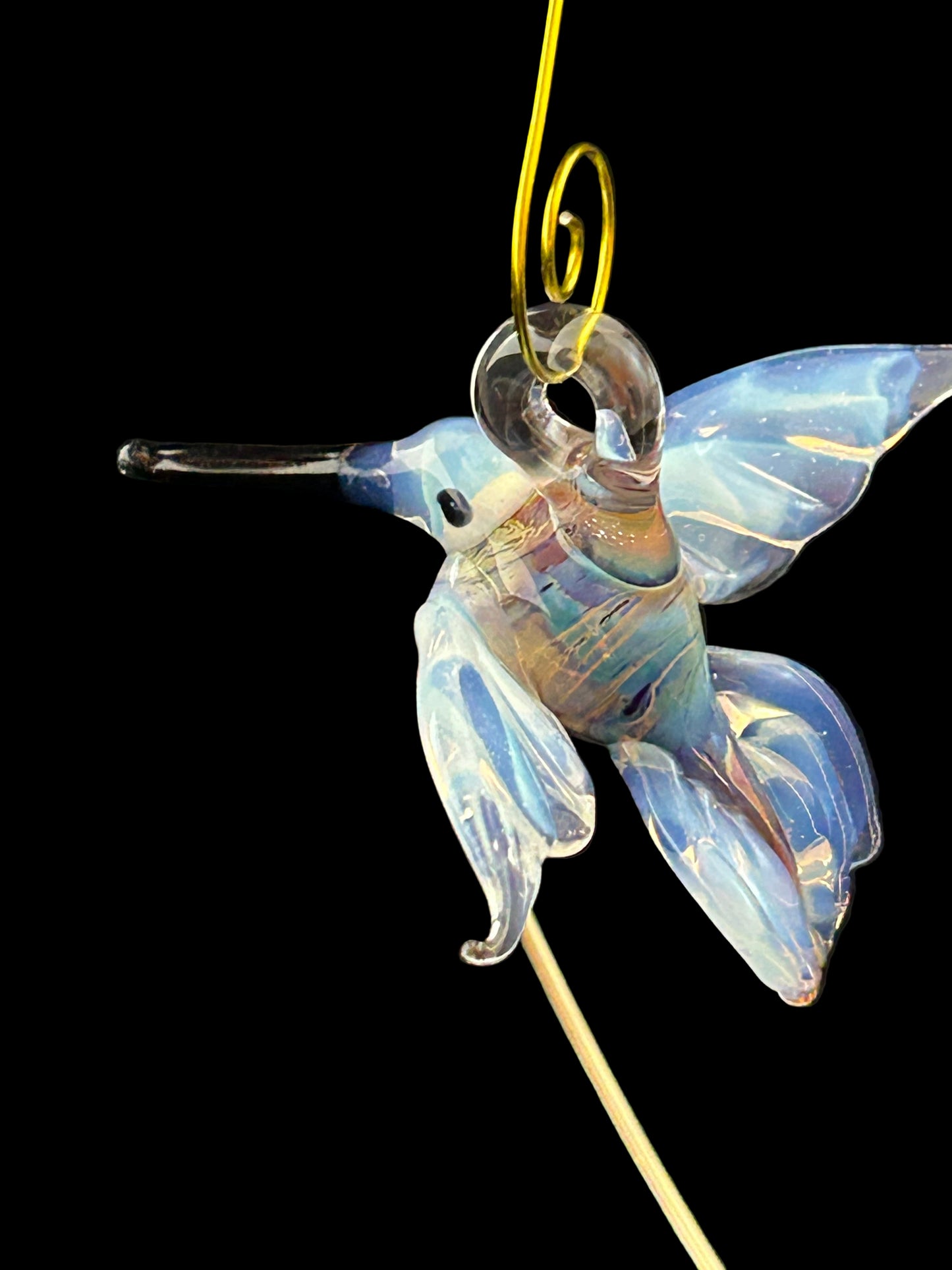 Queen bee/ghost hummingbird