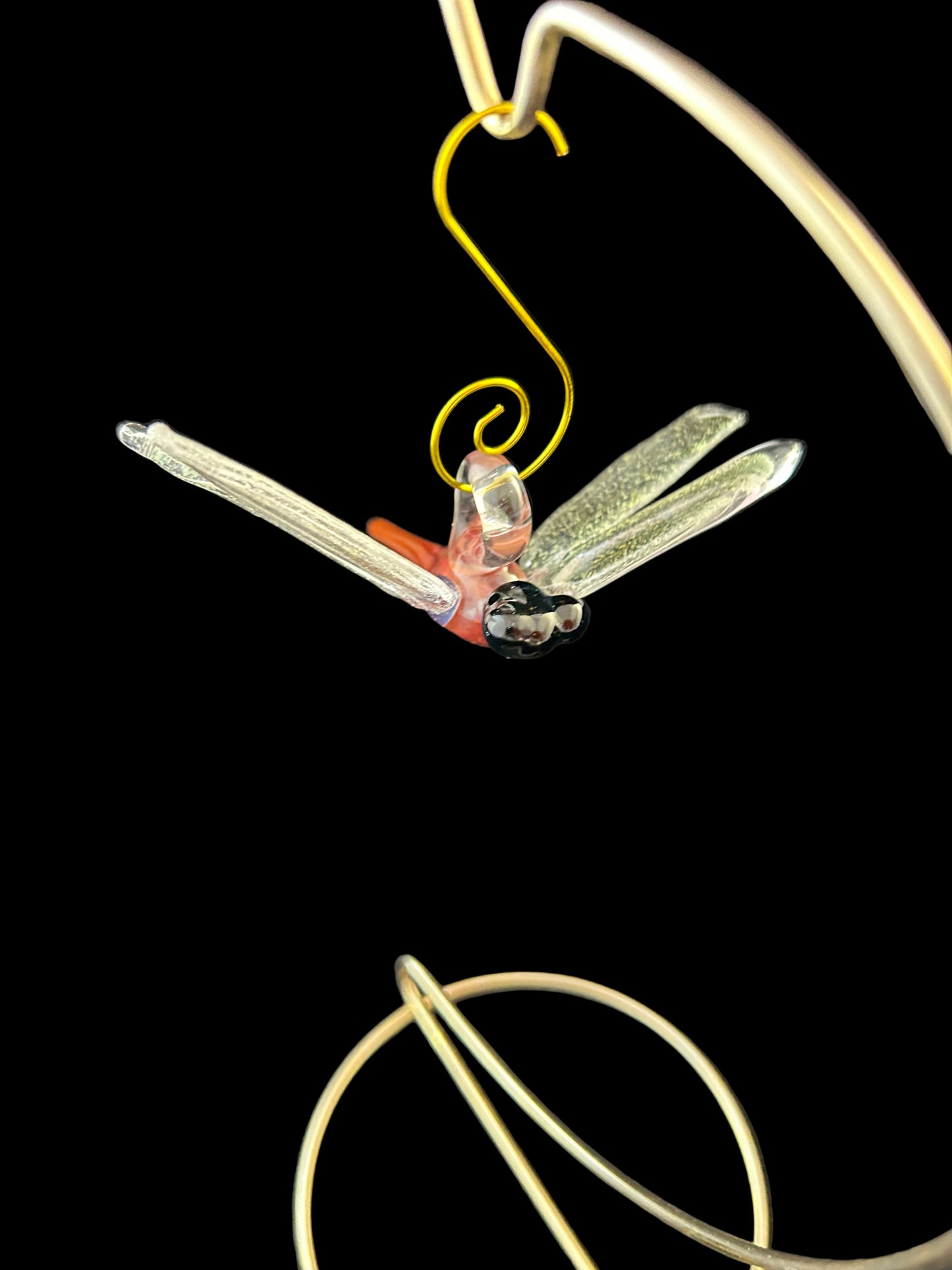 Amazon bronze Dragonfly