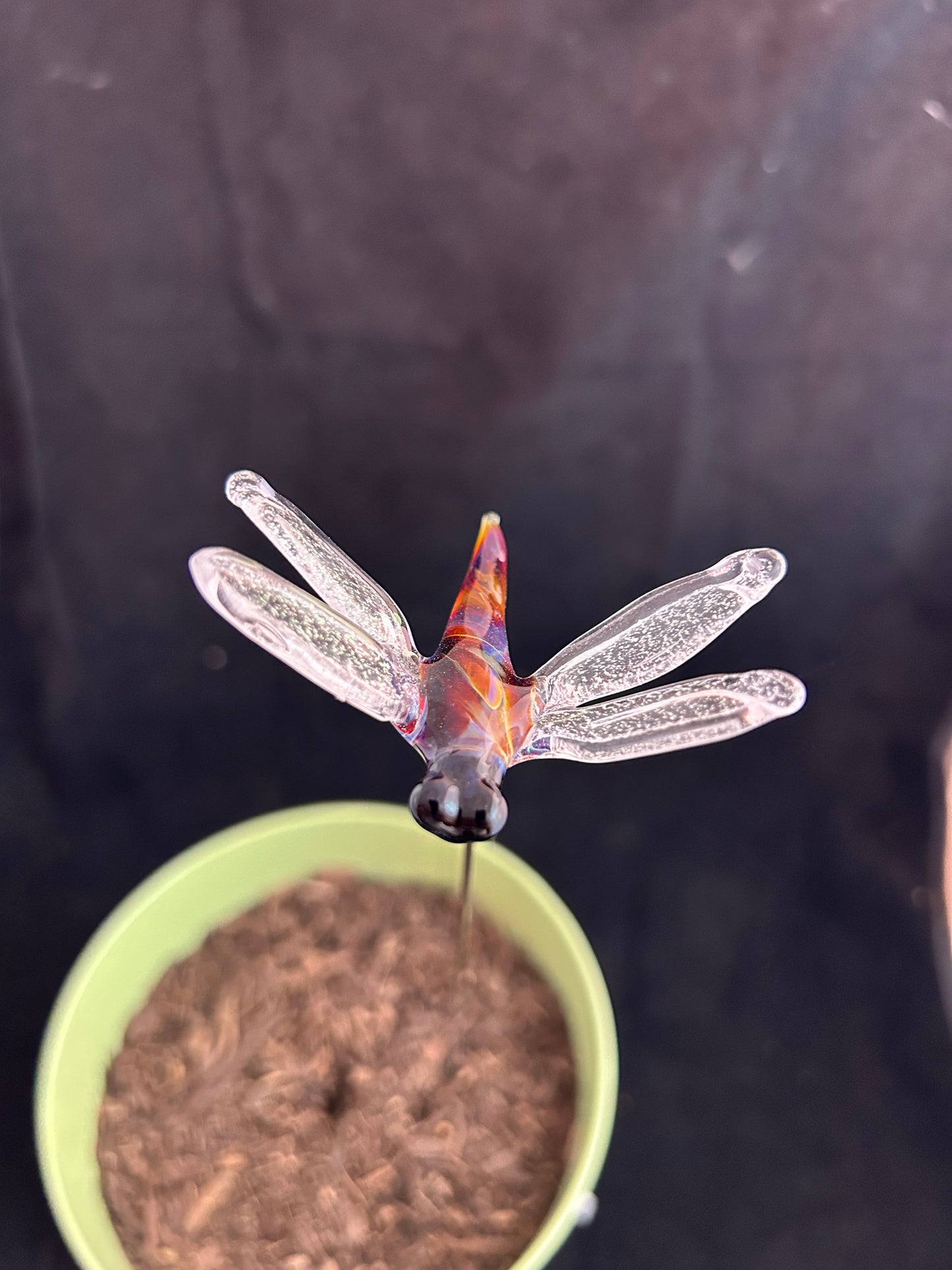 Amber Purple Dragonfly Plant Stake #3