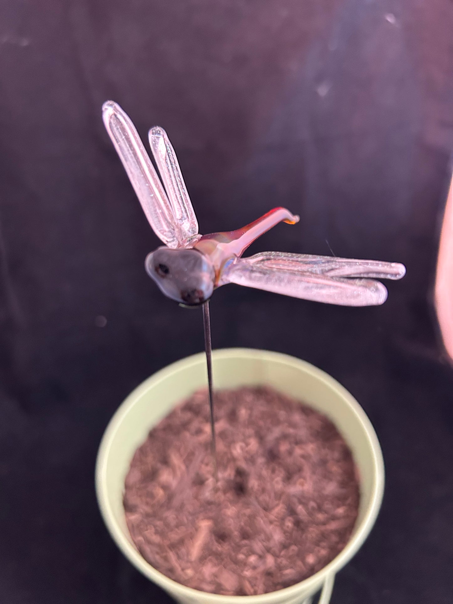 Amber Purple Dragonfly Plant Stake
