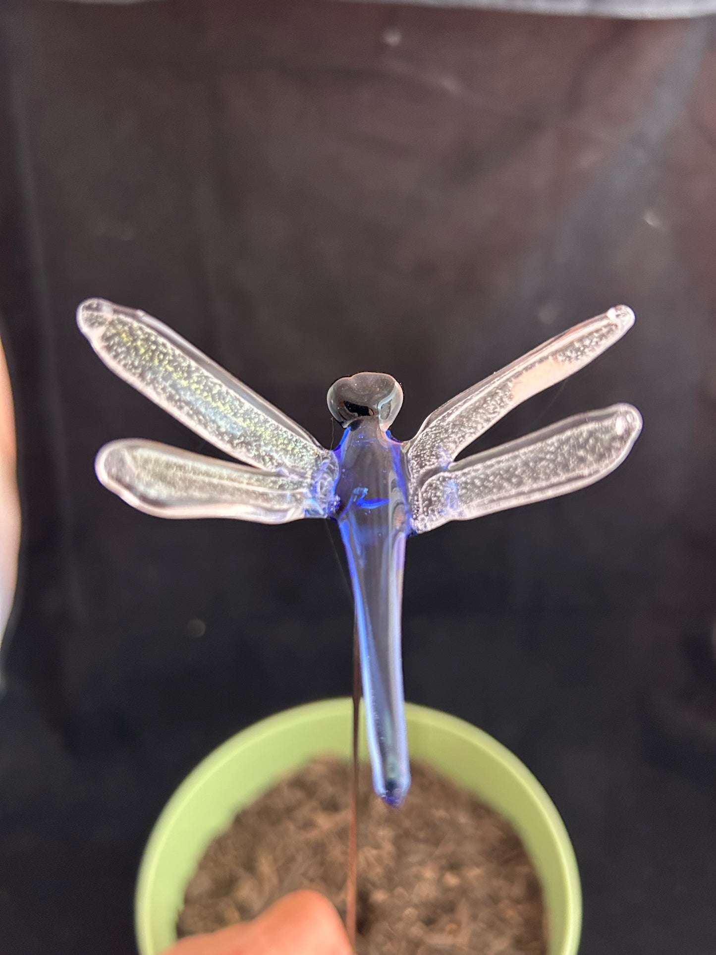 Blue Dragonfly Plant Stake