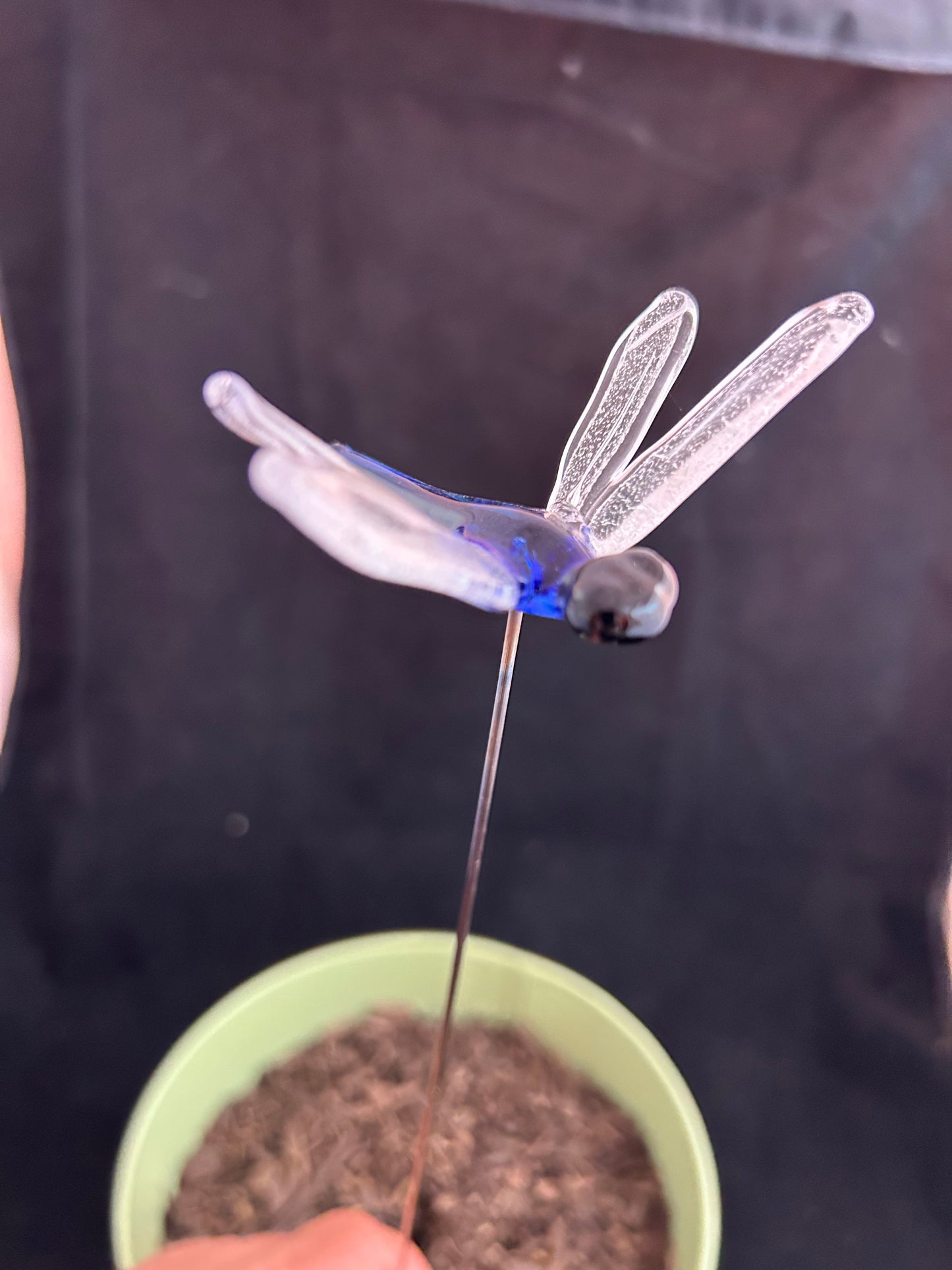 Blue Dragonfly Plant Stake