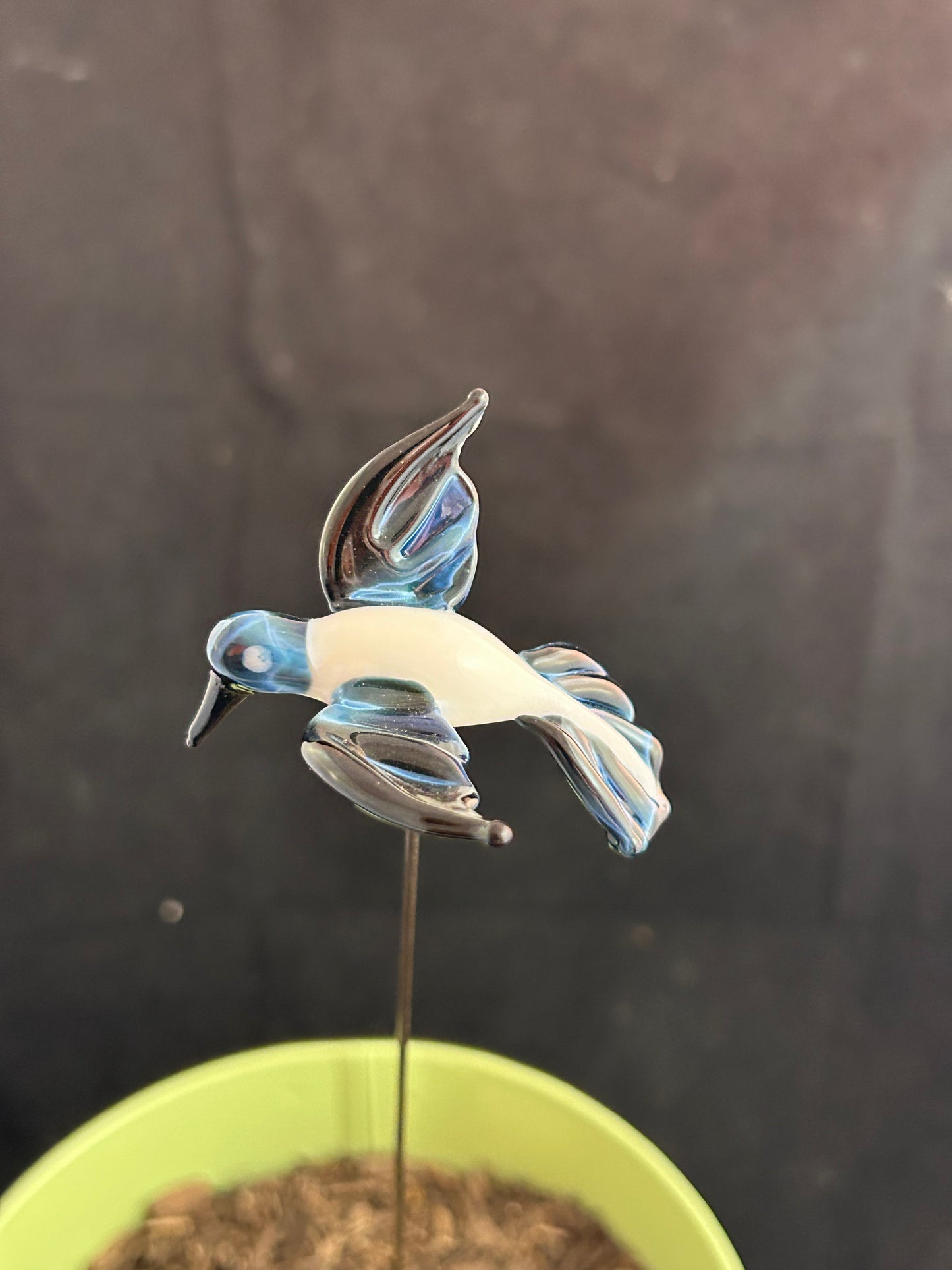 Fade To Black Hummingbird Plant Stake