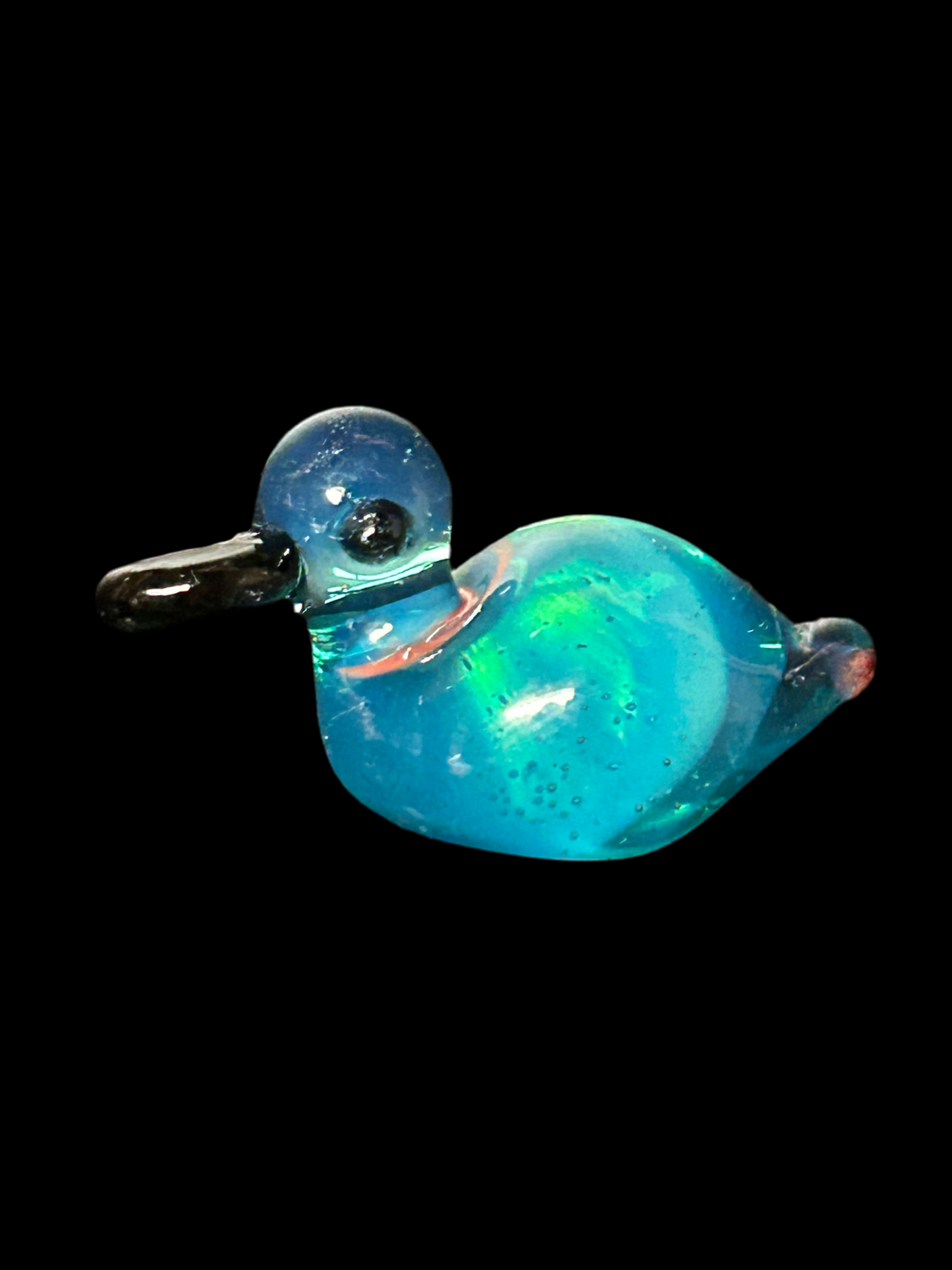 Aqua Duck Magnet