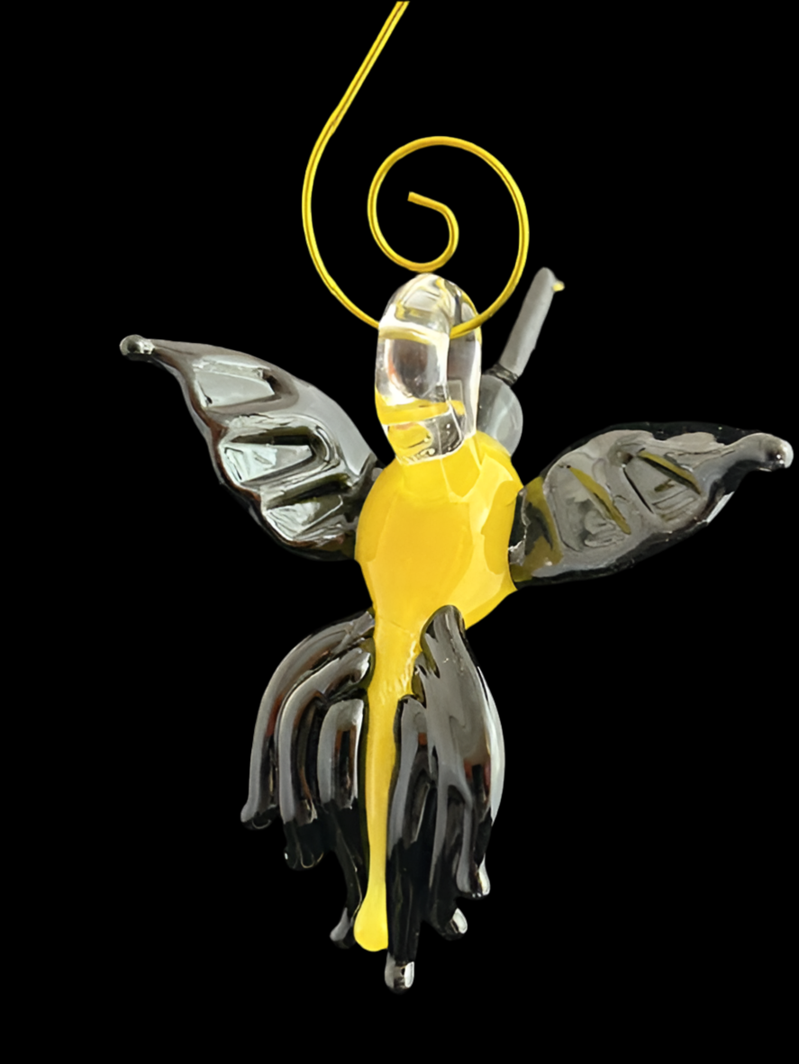 Yellow & Black Hummingbirds