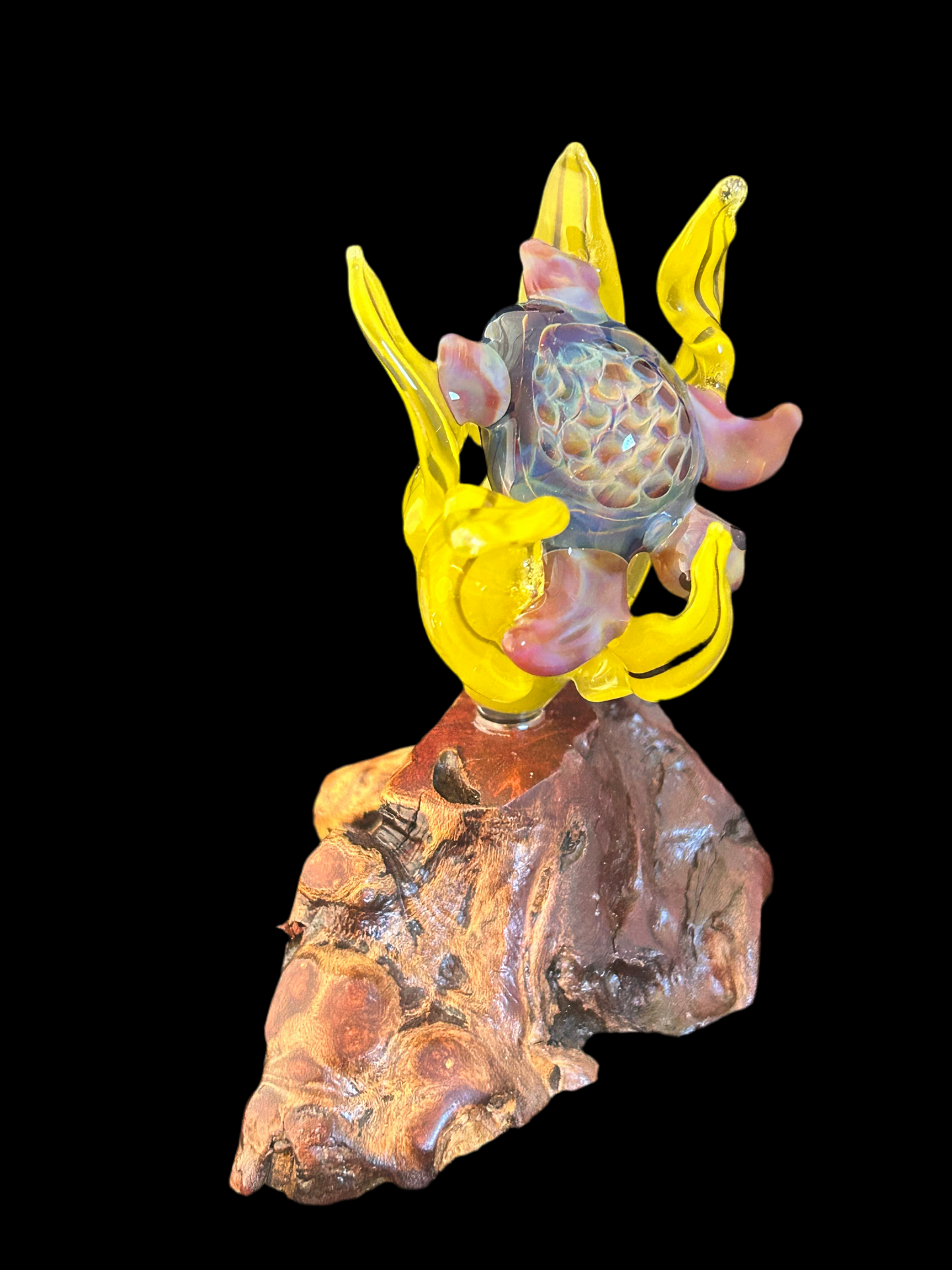 Carmel Turtle Sculpture