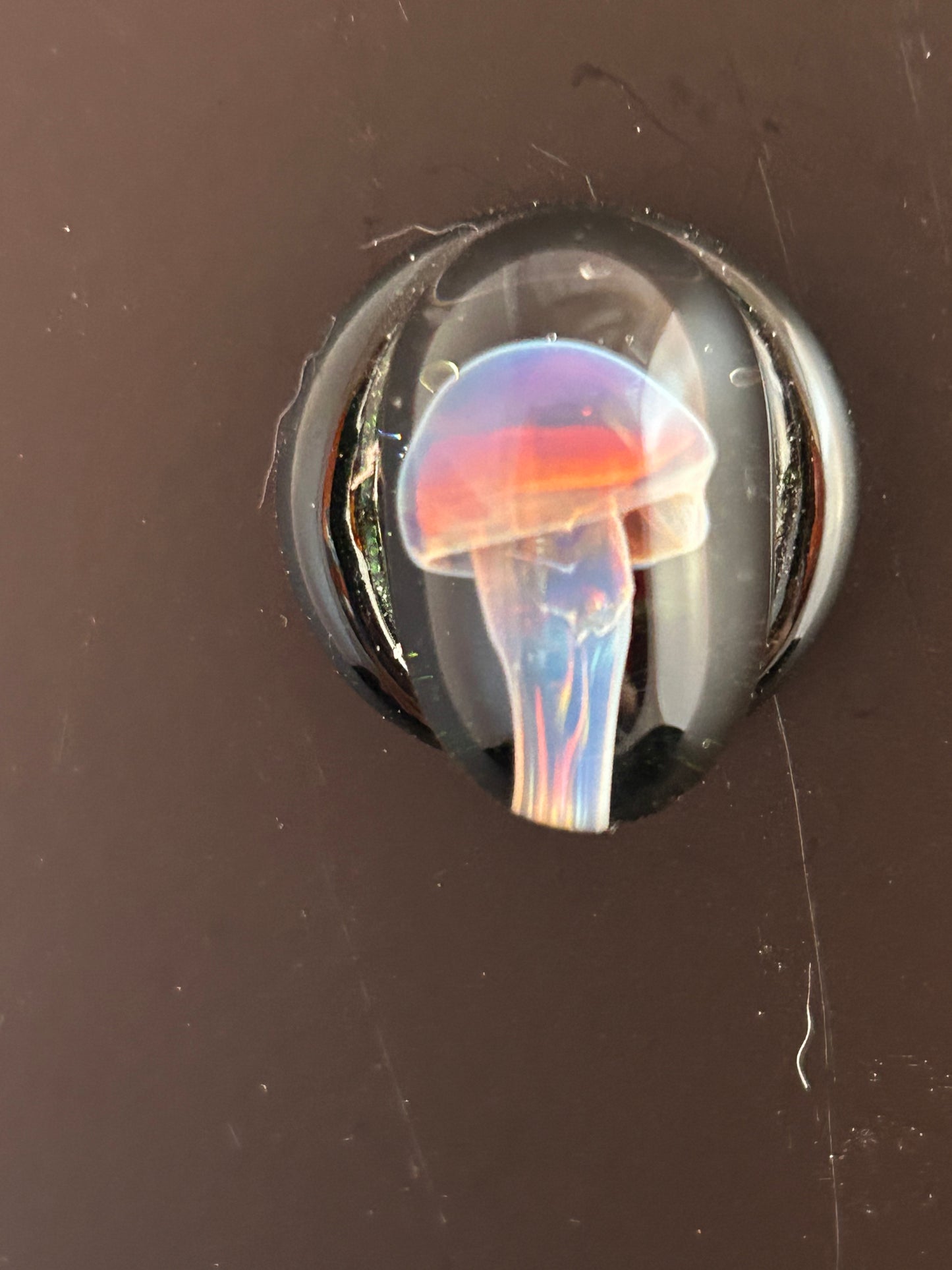 Encased Pink Mushroom Magnet
