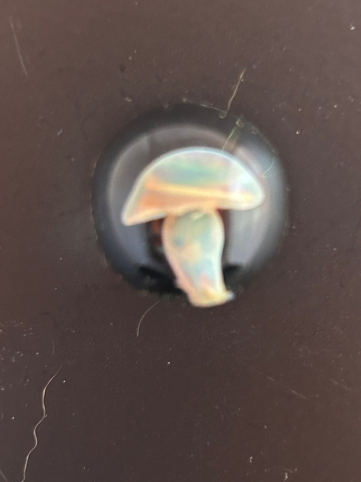 Encased White Mushroom Magnet