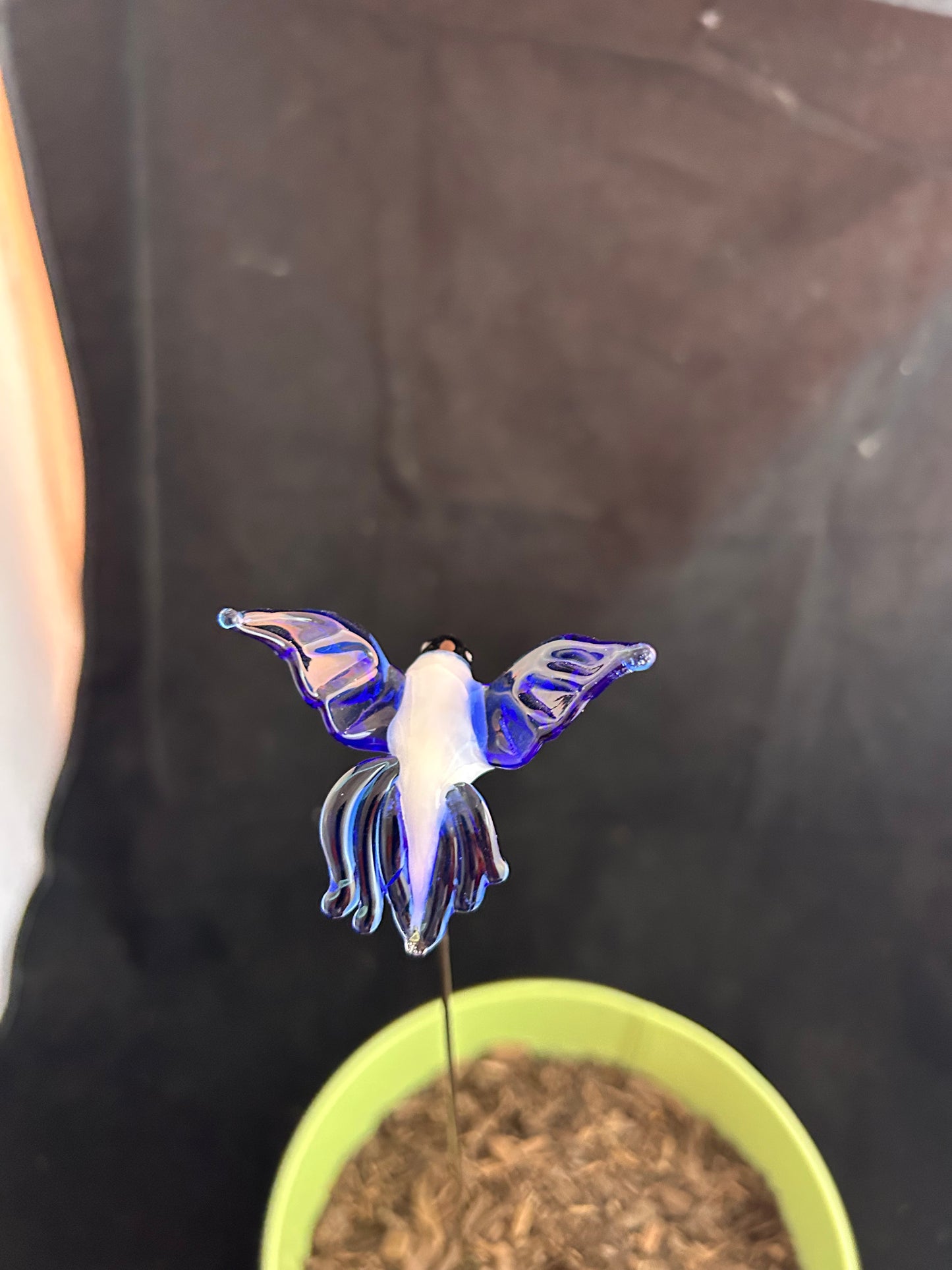 White & Blue Hummingbird Plant Stake