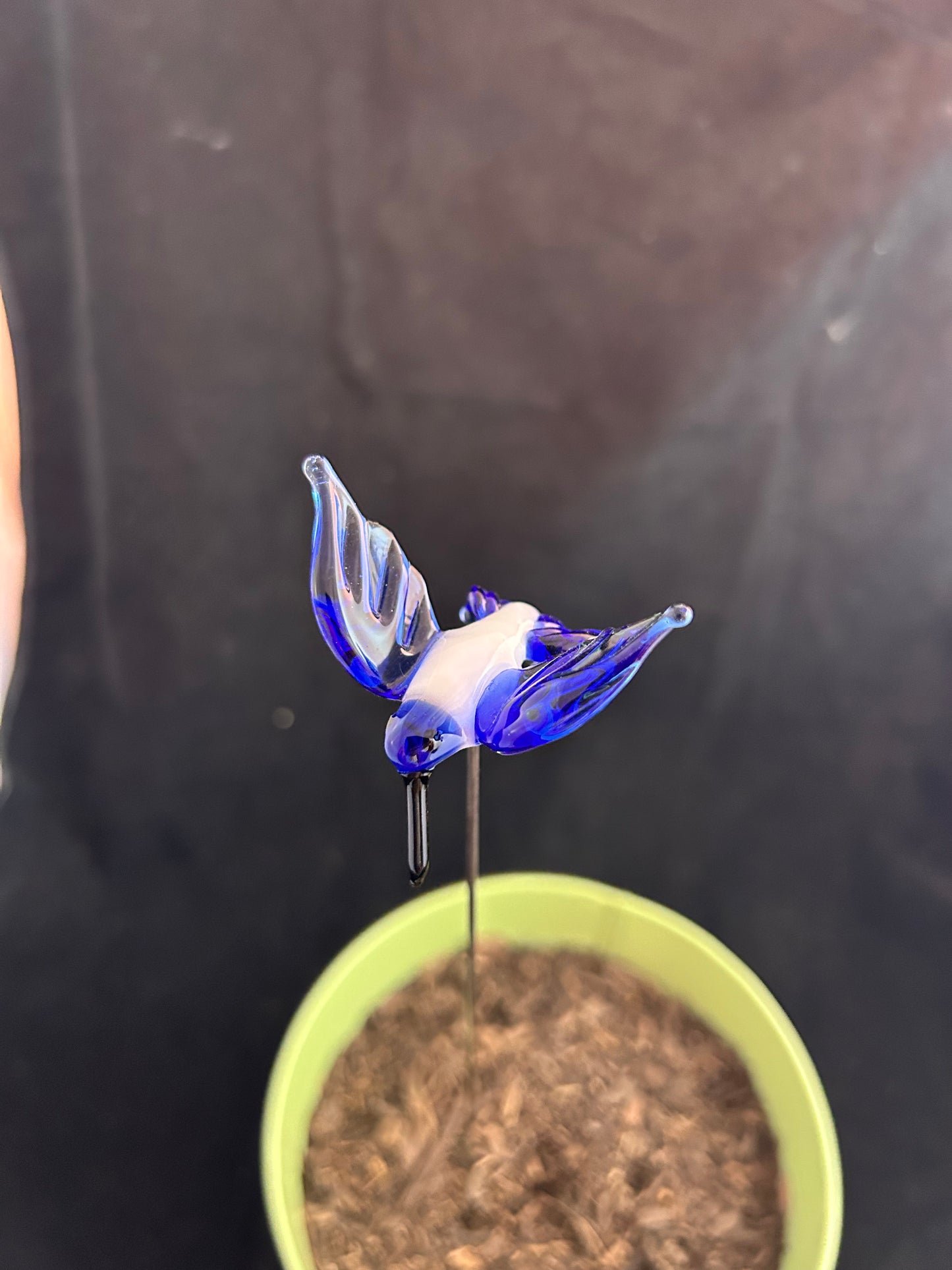 White & Blue Hummingbird Plant Stake