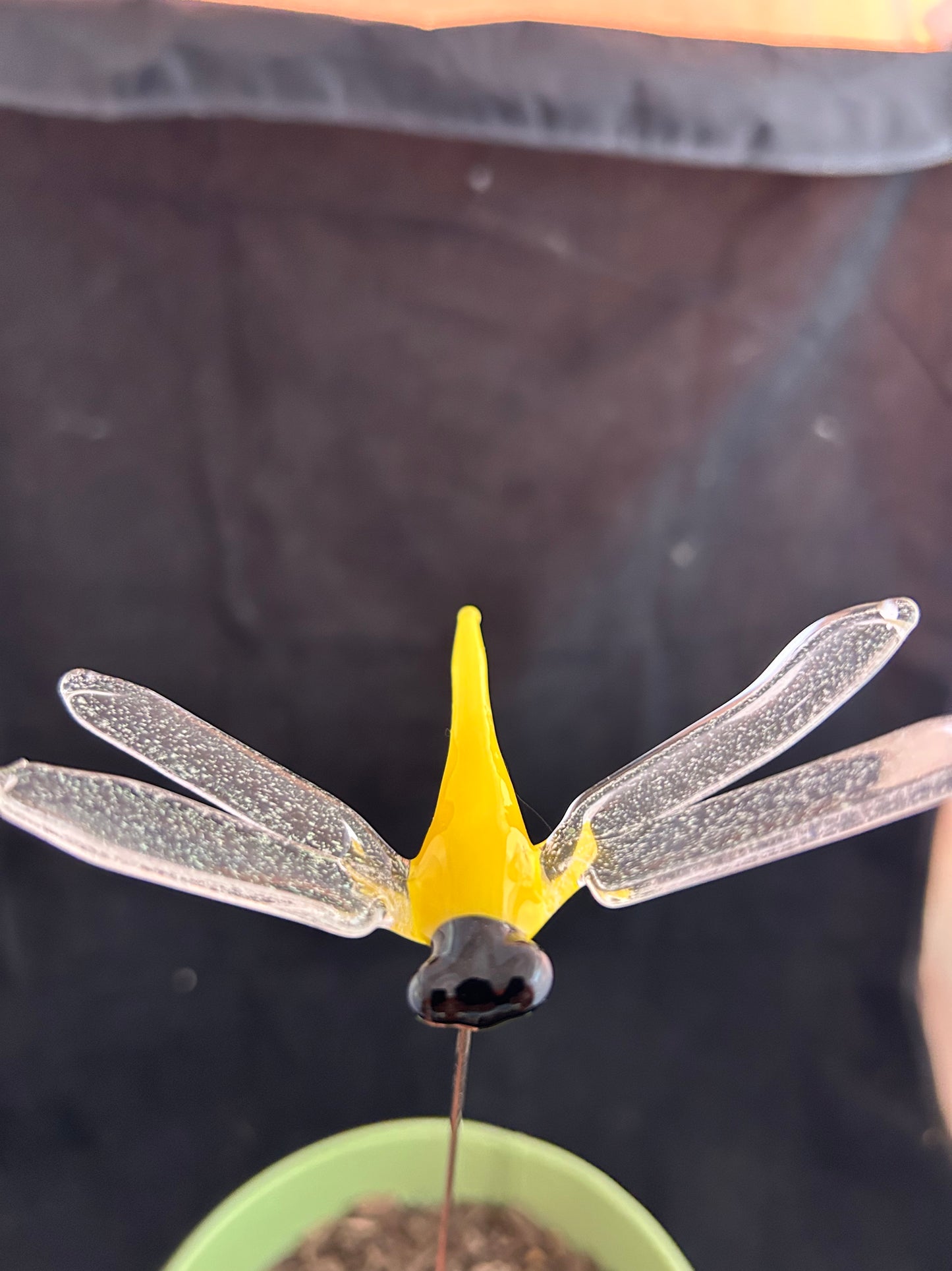 Yellow Dragonfly Plant Stake #2