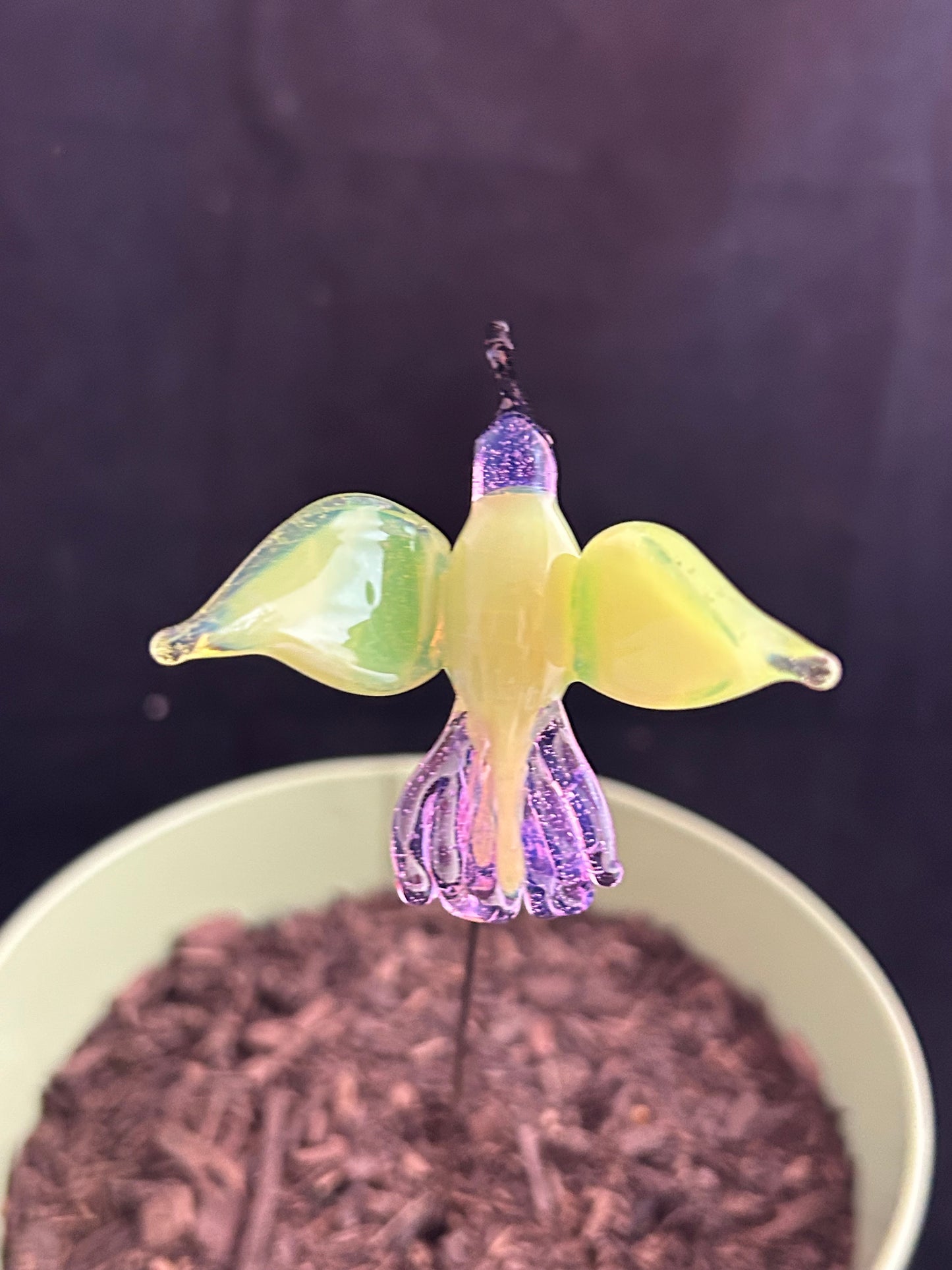 Yellow & Purple Hummingbird Plant Stake