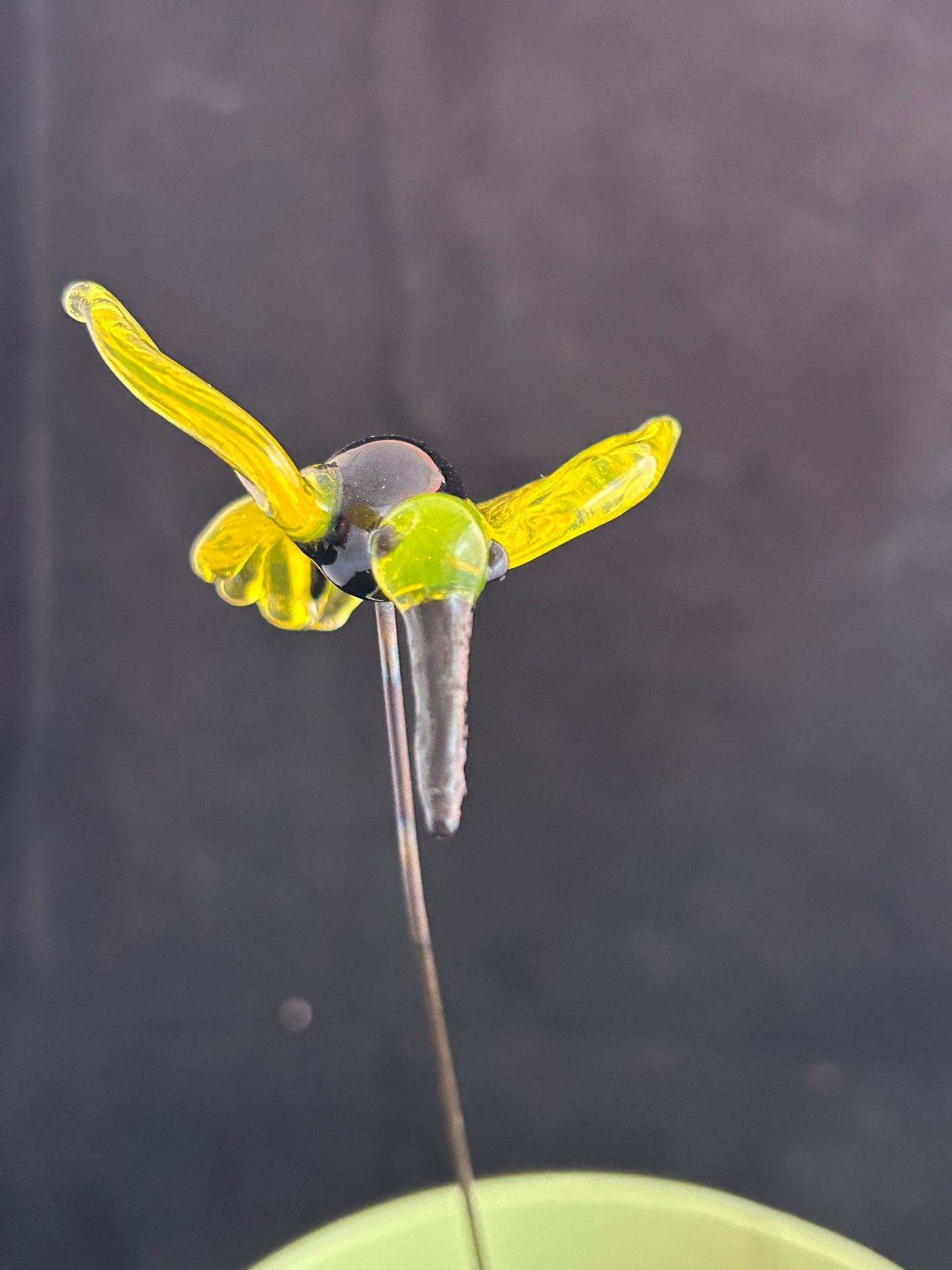 Black & Yellow Hummingbird Plant Stake
