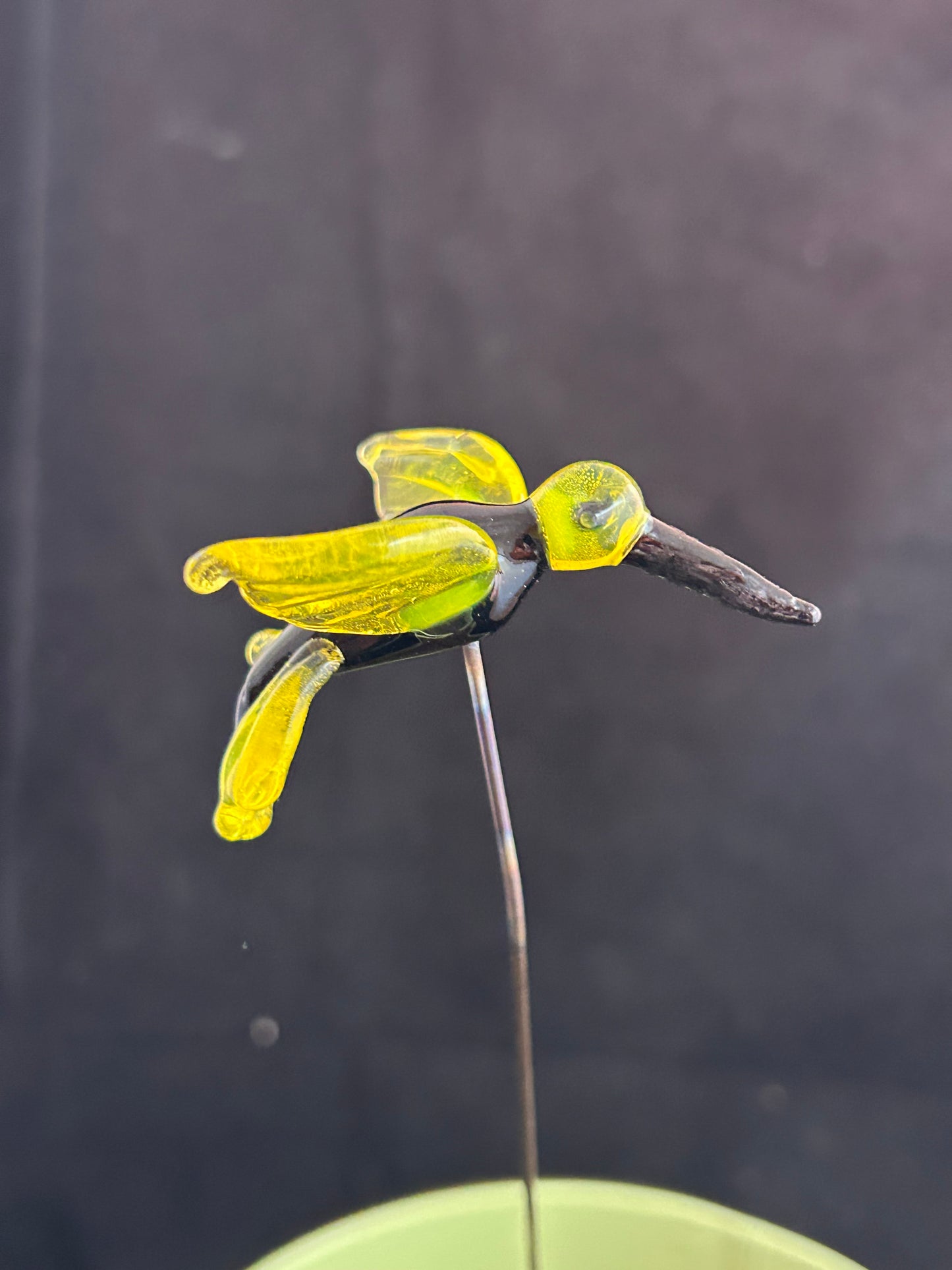 Black & Yellow Hummingbird Plant Stake