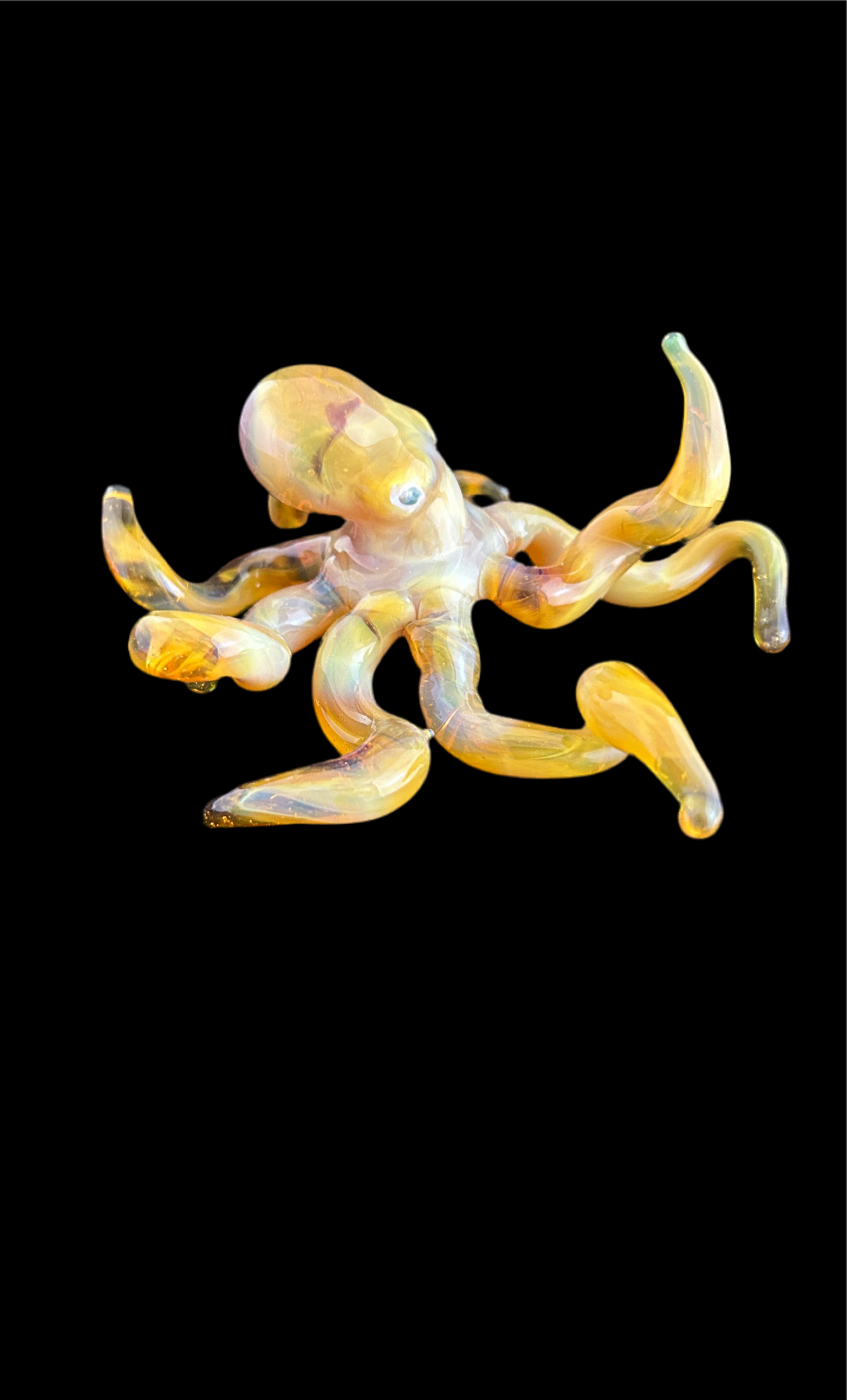 Octopus NorthStar Yellow