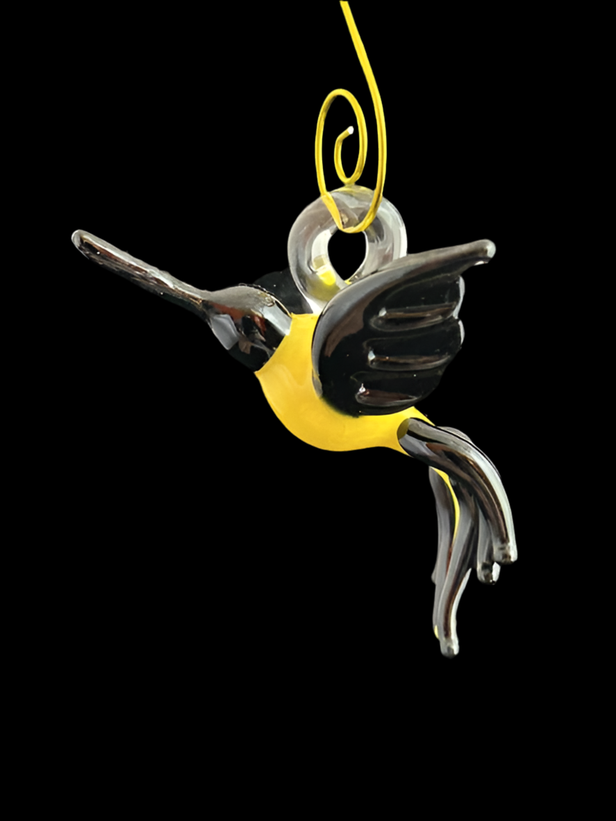 Yellow & Black Hummingbirds
