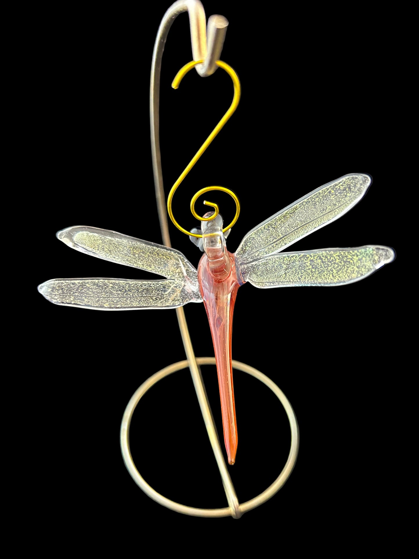 Amazon bronze Dragonfly