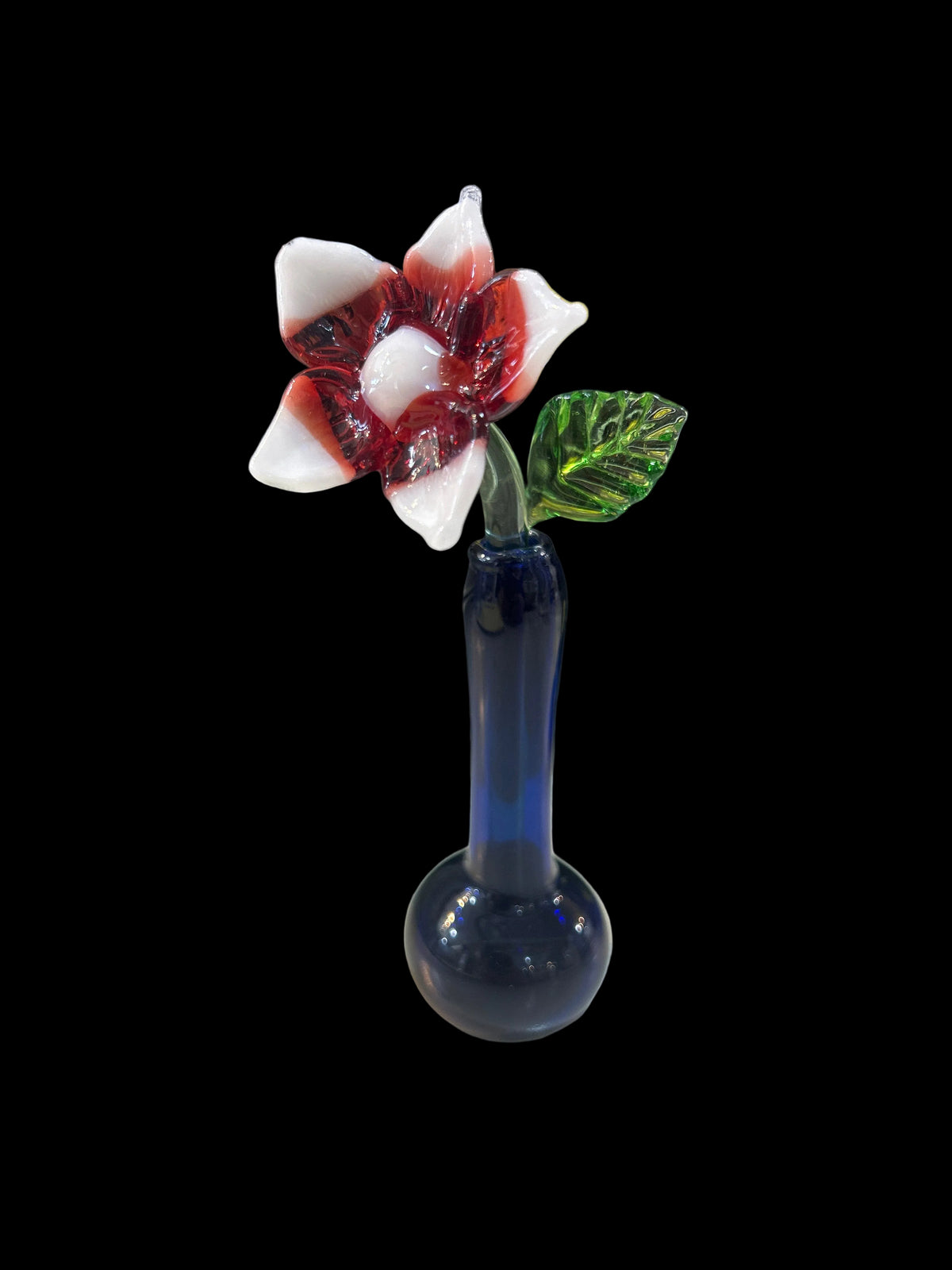 Red and White Flower