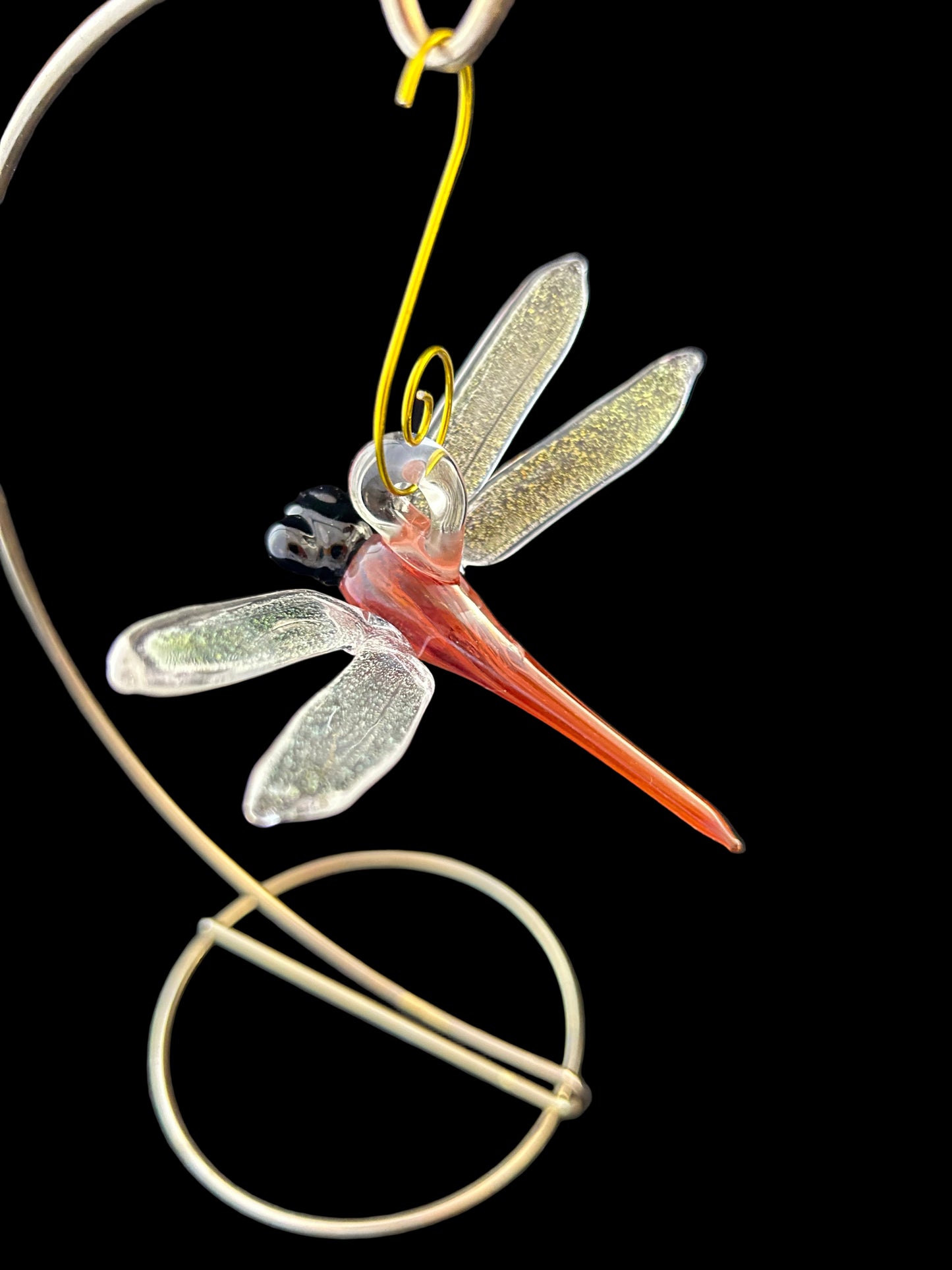 Amazon bronze Dragonfly