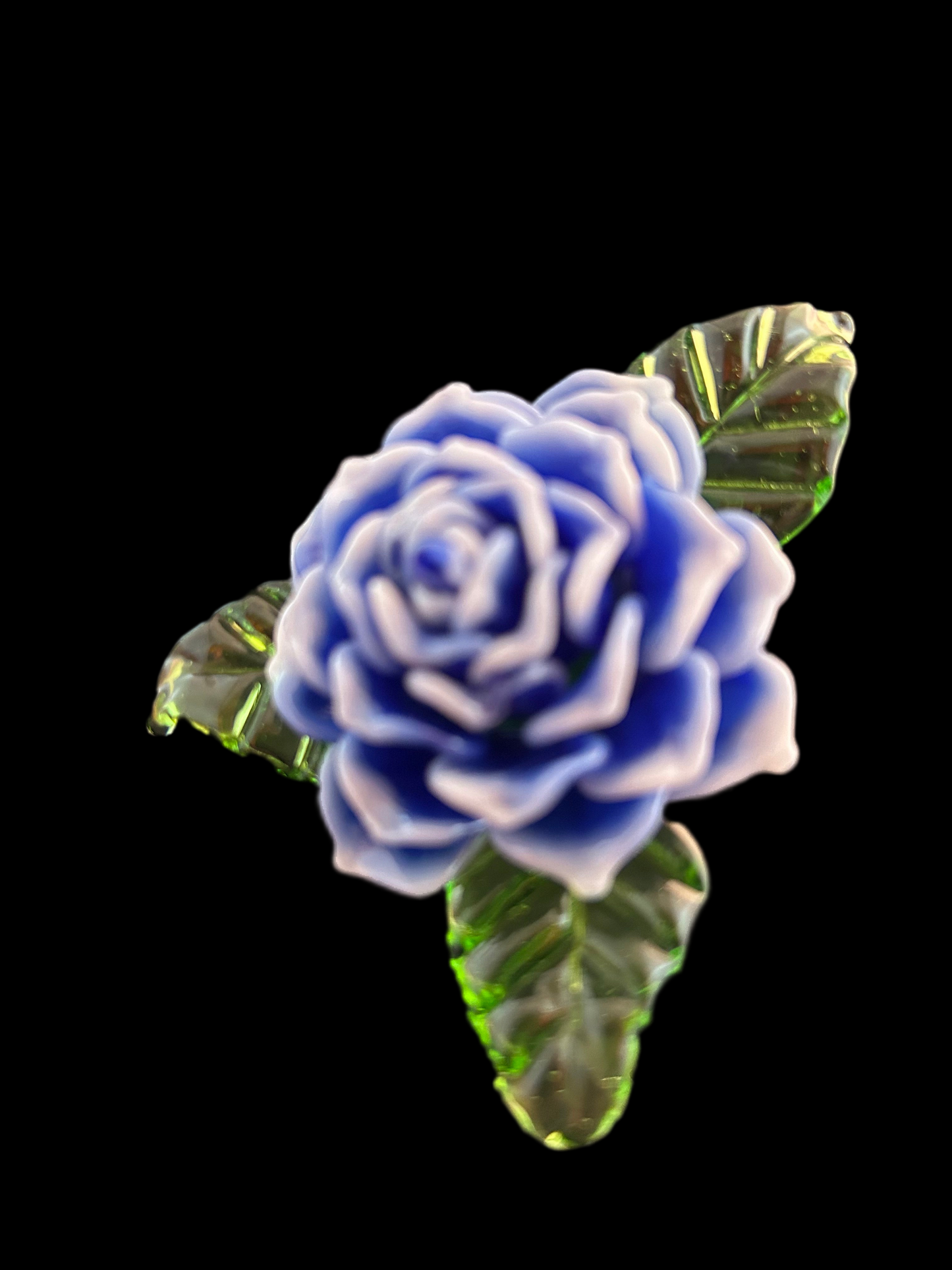 Long Stem Blue and White Forever Rose