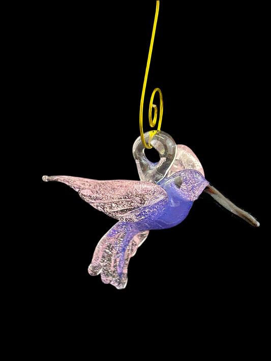 Purple and pink Hummingbird