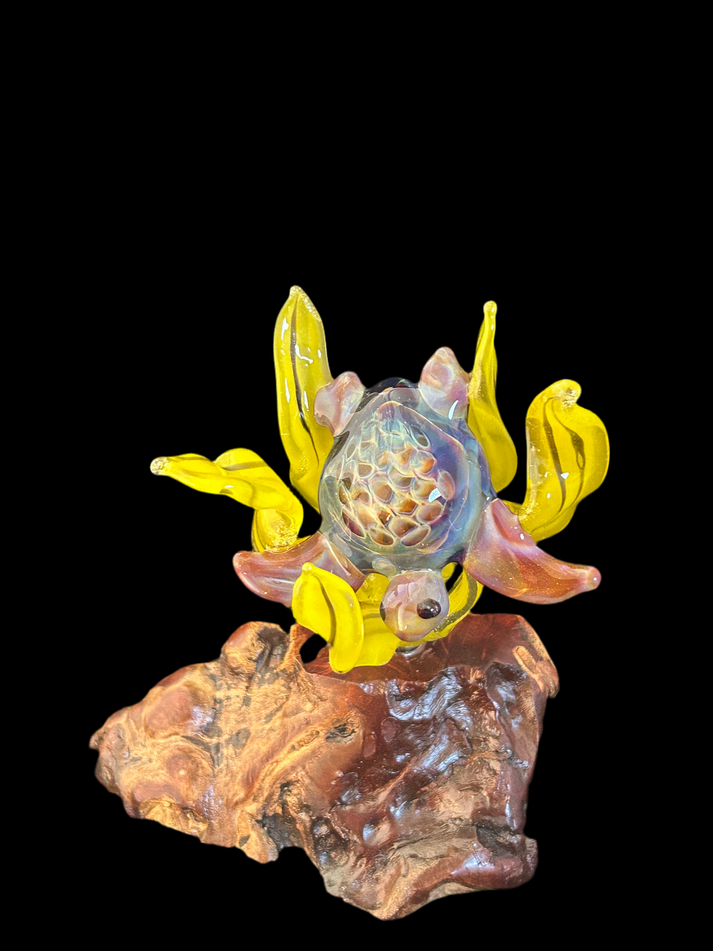 Carmel Turtle Sculpture