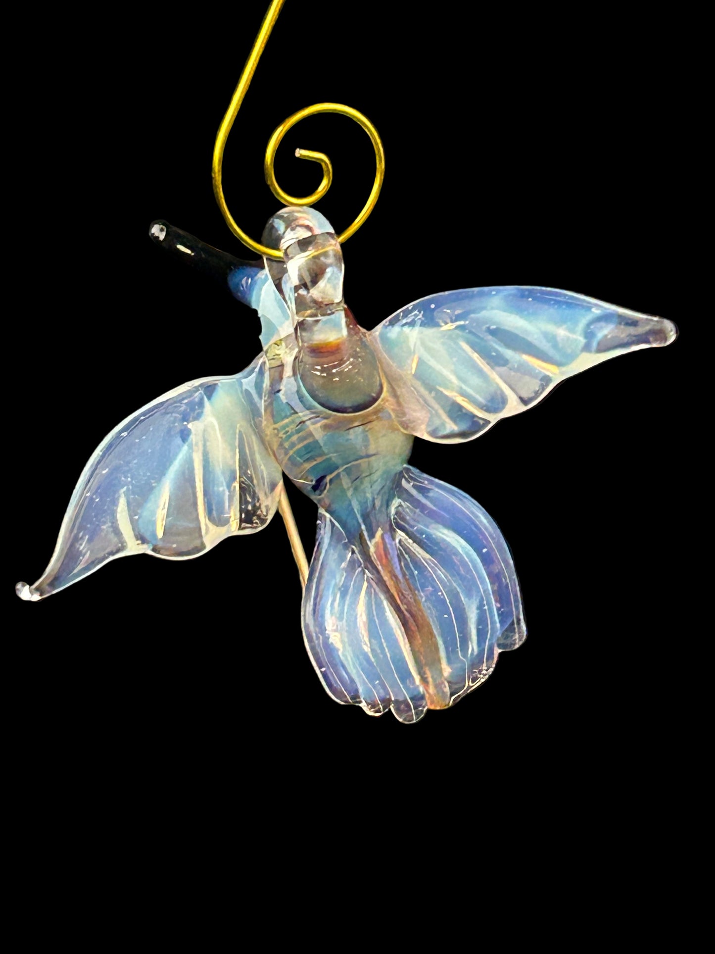 Queen bee/ghost hummingbird