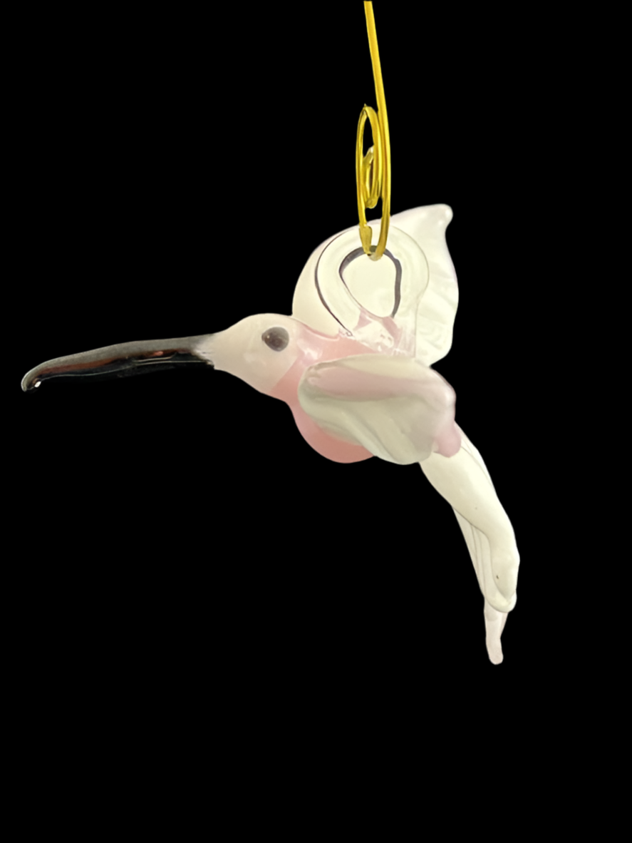 Pink & White Hummingbird