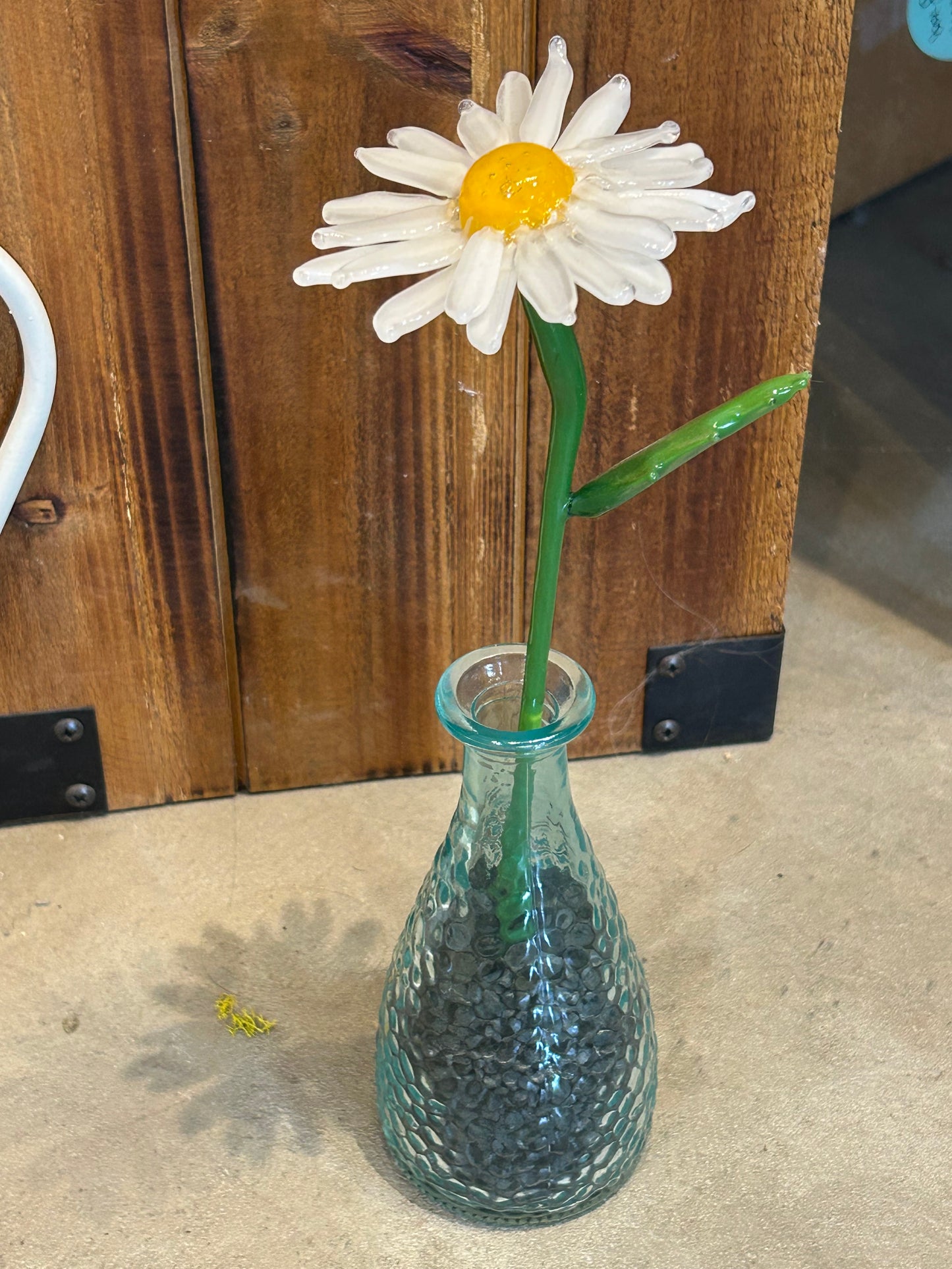 Daisy and Vase