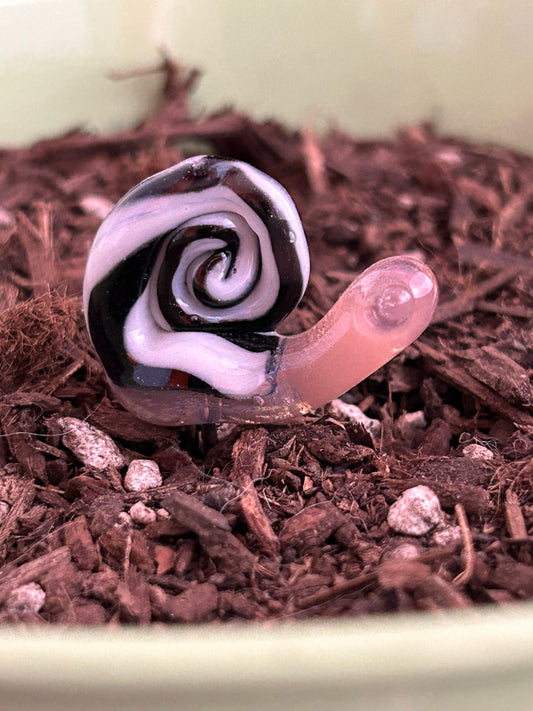 Black & White Snail Plant Stake