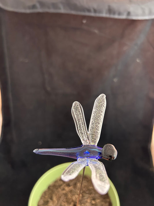 Blue Dragonfly Plant Stake