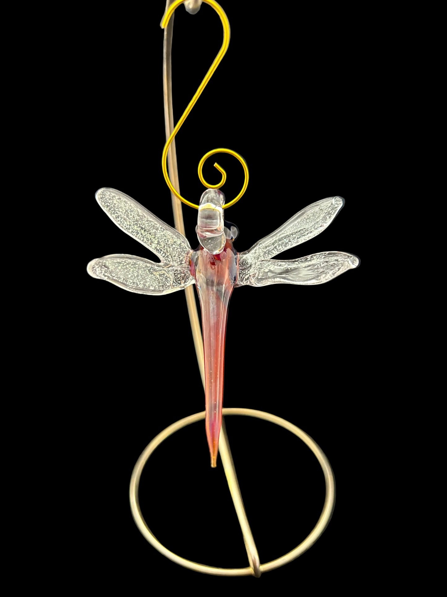 Amazon Bronze Dragonfly