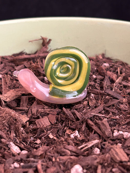 Green & Yellow Snail Plant Stake