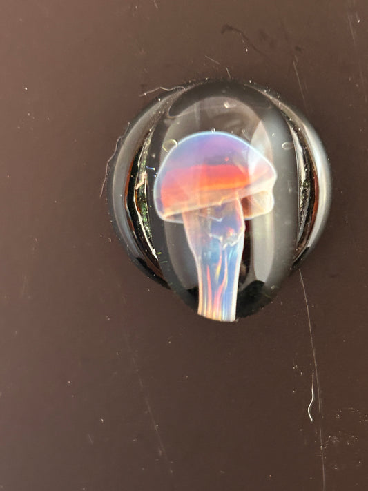 Encased Pink Mushroom Magnet