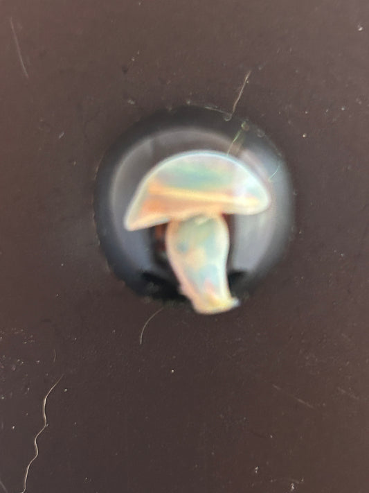 Encased White Mushroom Magnet