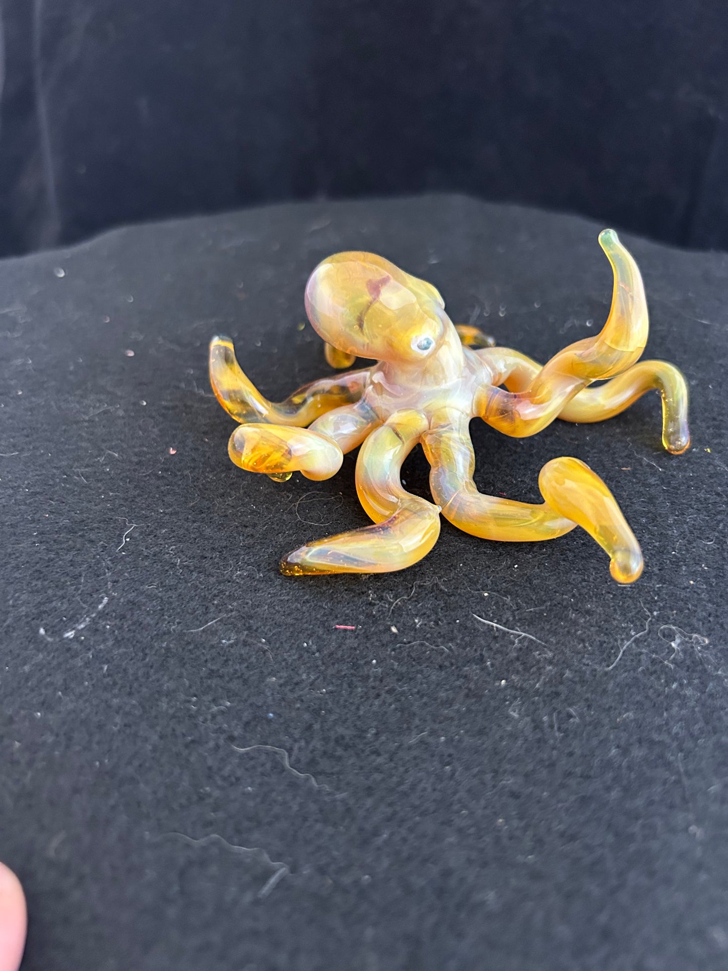 Octopus NorthStar Yellow