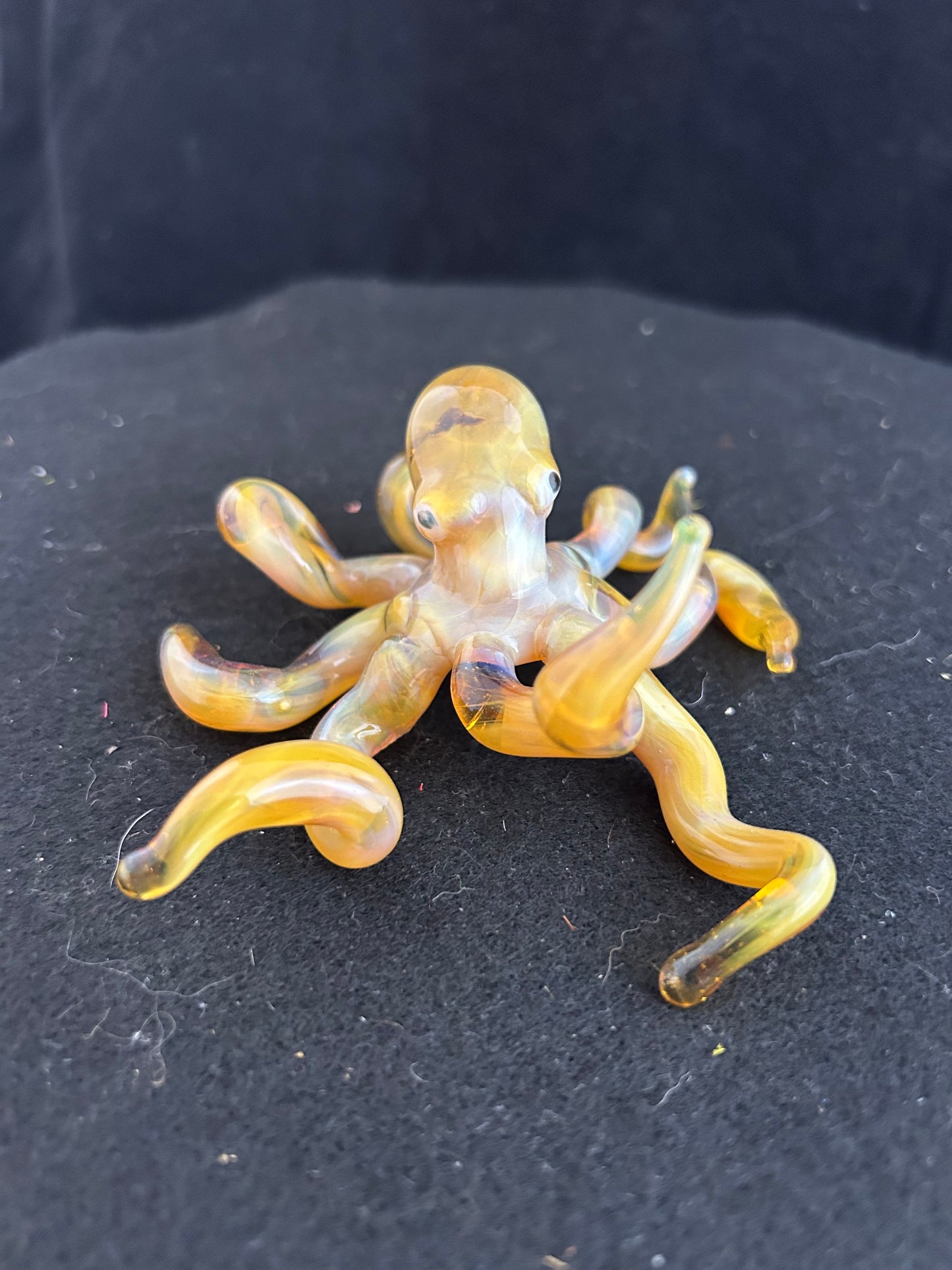 Octopus NorthStar Yellow