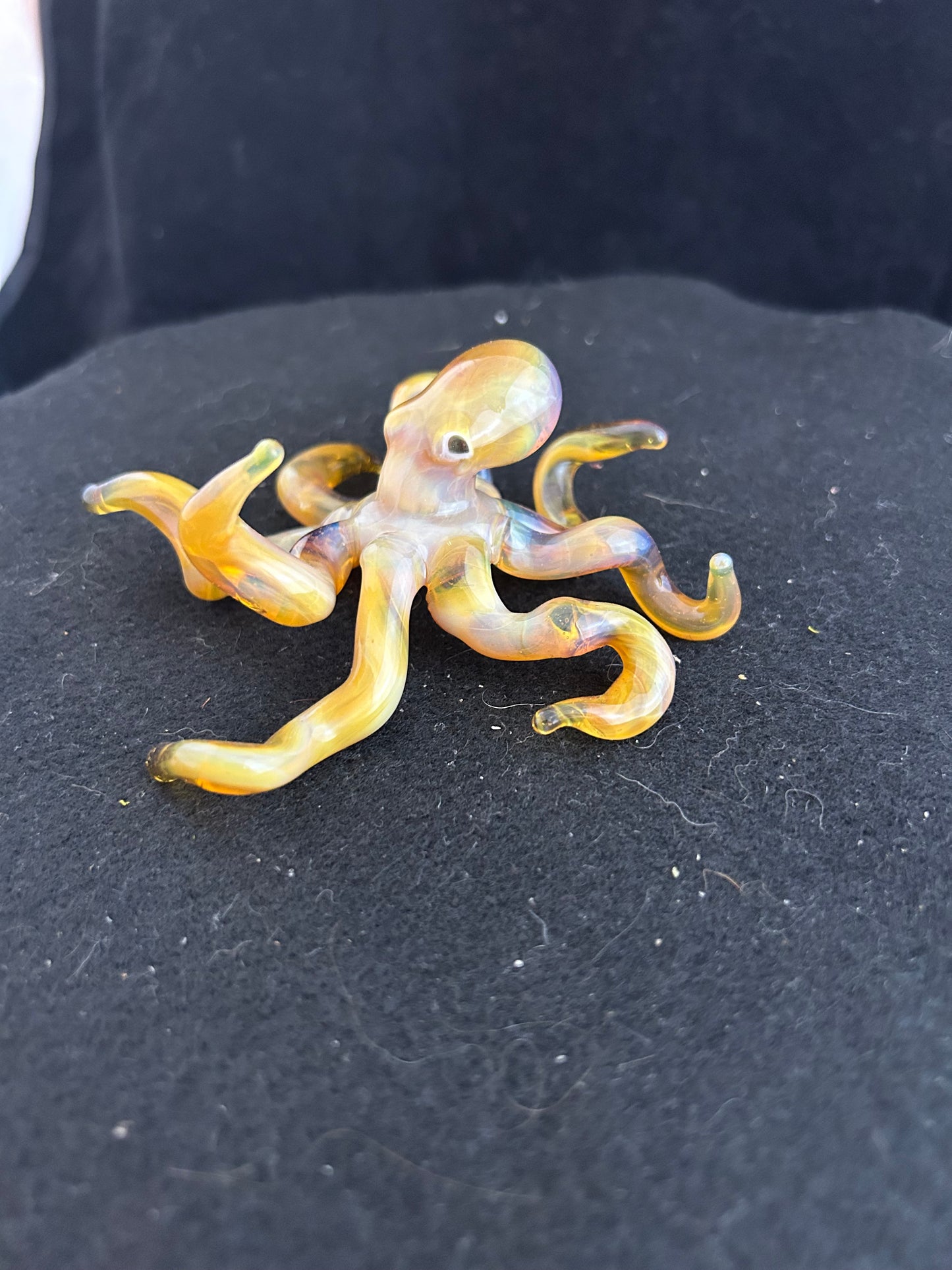 Octopus NorthStar Yellow