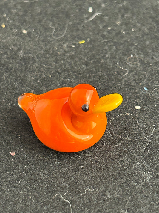 Orange Duck