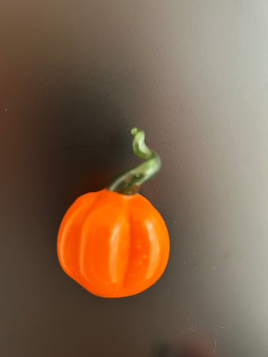 Pumpkin Magnet #2