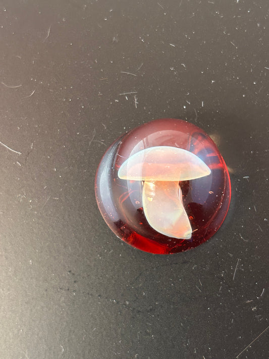 Encased Red Mushroom Magnet