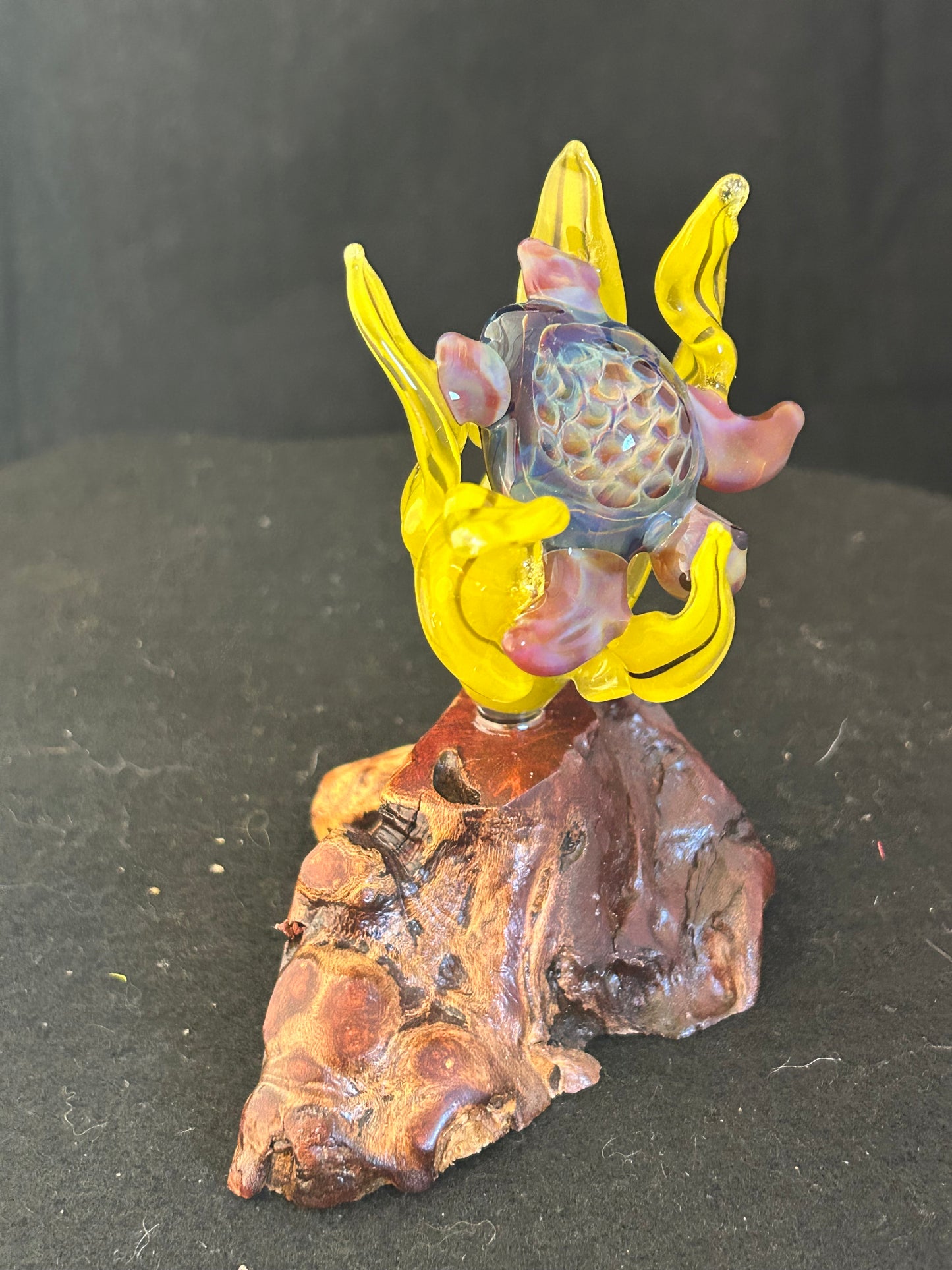 Carmel Turtle Sculpture