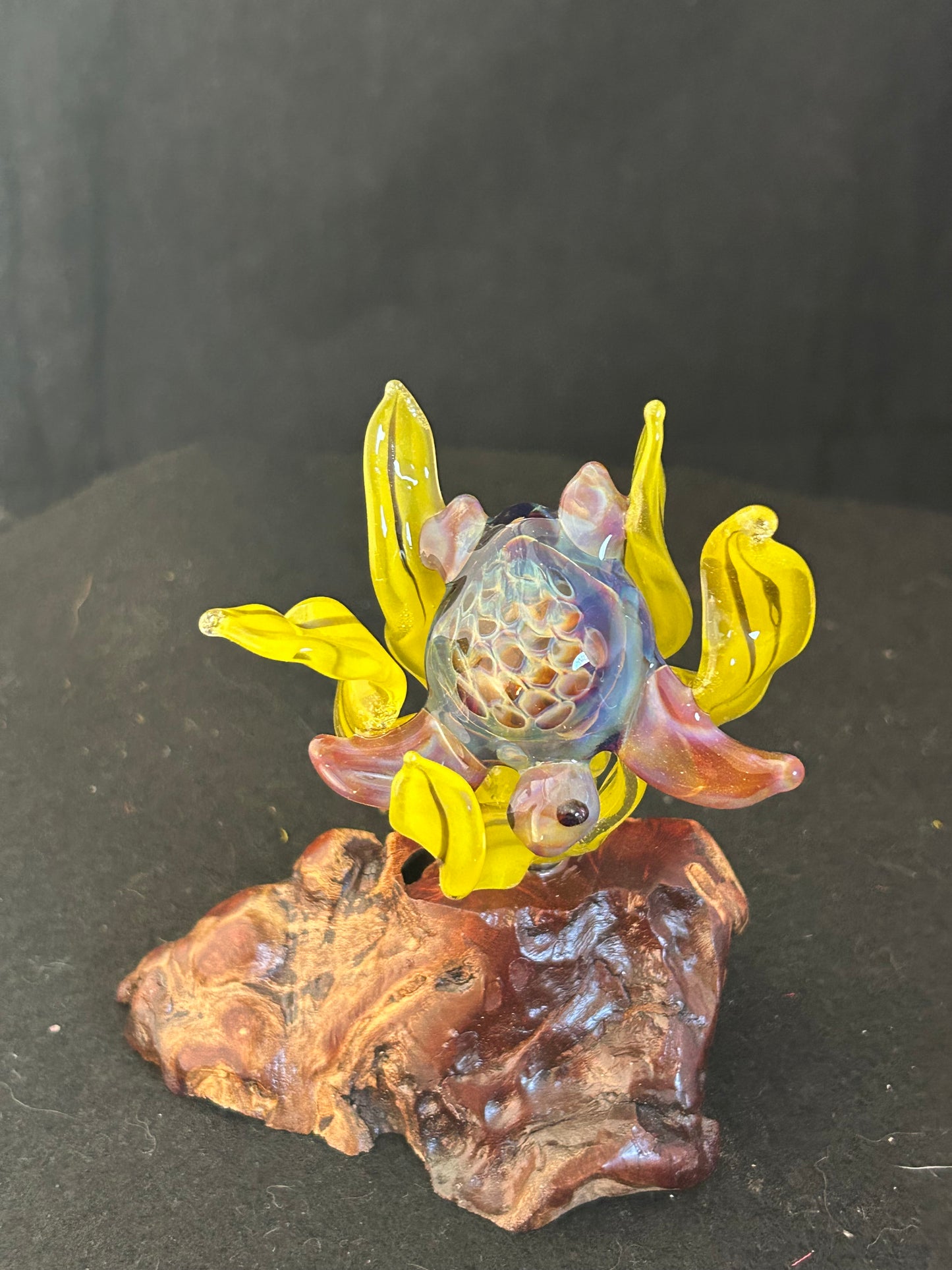 Carmel Turtle Sculpture
