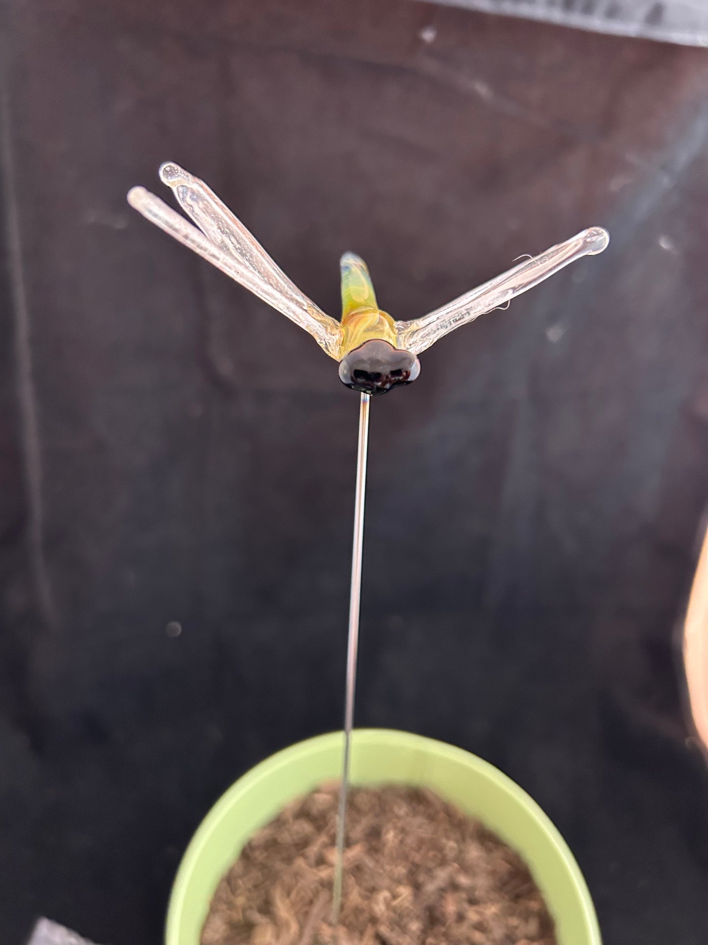 Yellow Dragonfly Plant Stake